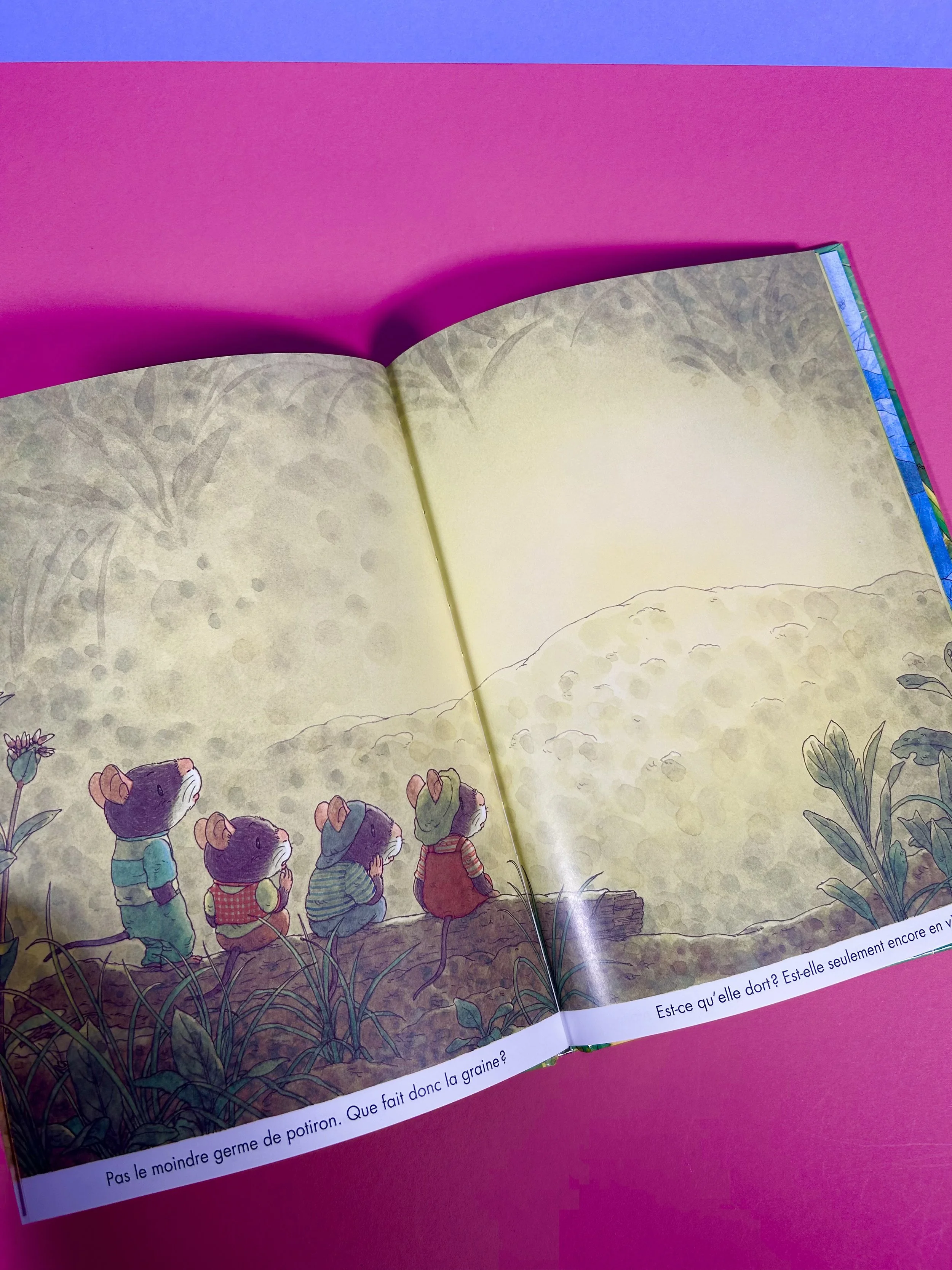 Replay kids_livre_la famille souris et le potiron_4.jpeg