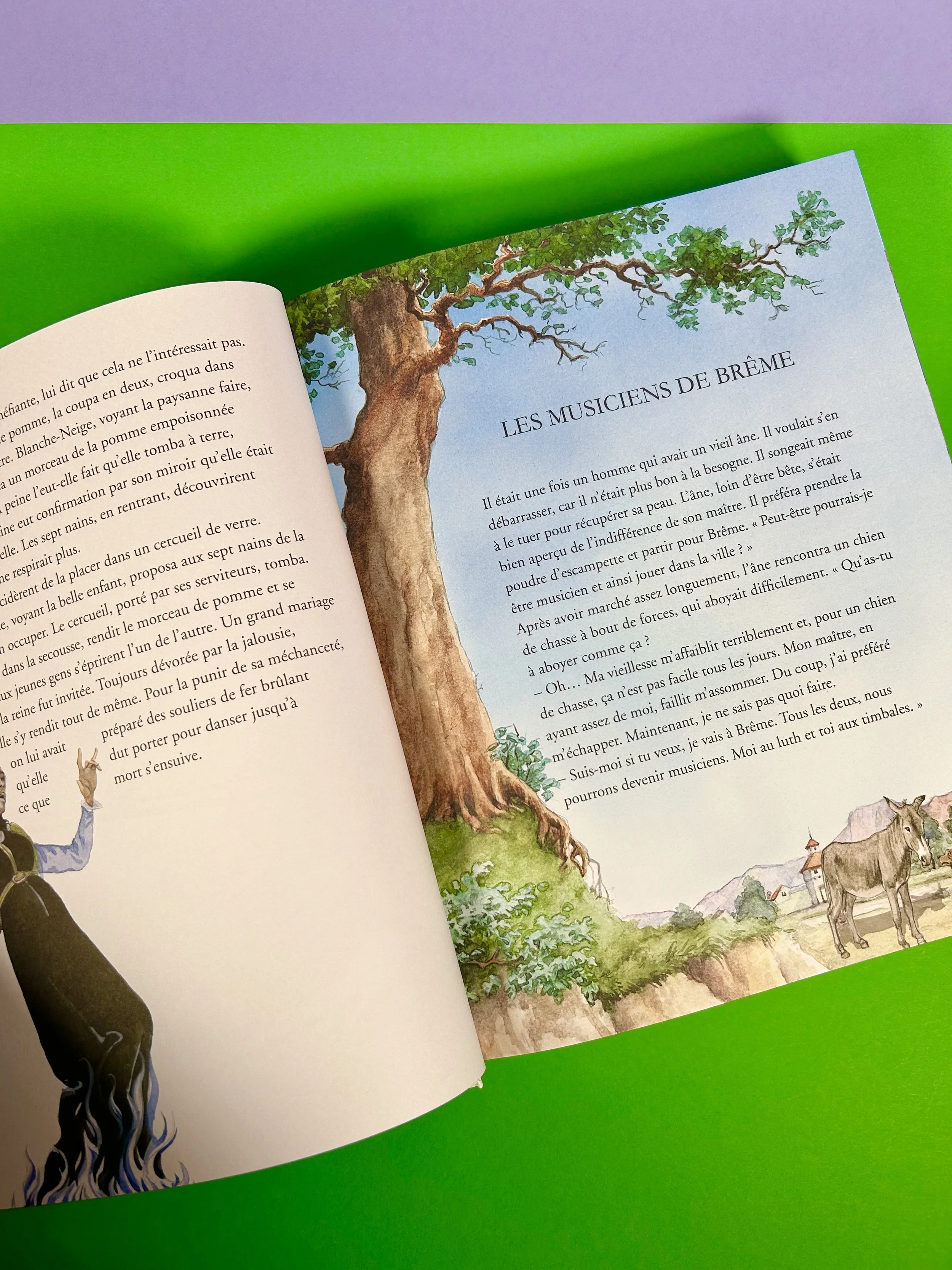 Replay kids_livre_grimm_7.jpeg