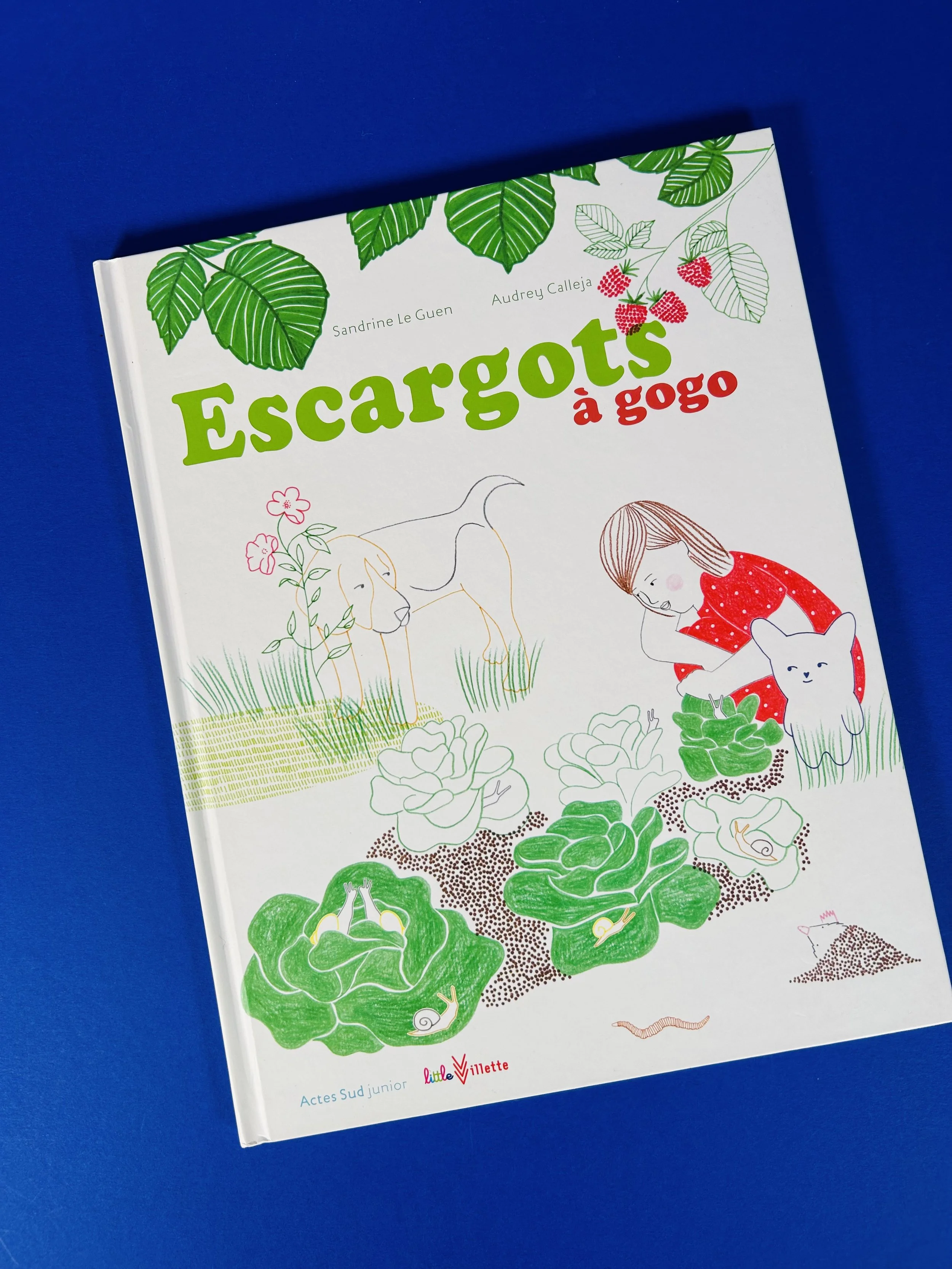 Replay kids_livre_escargots à gogo_1.jpeg