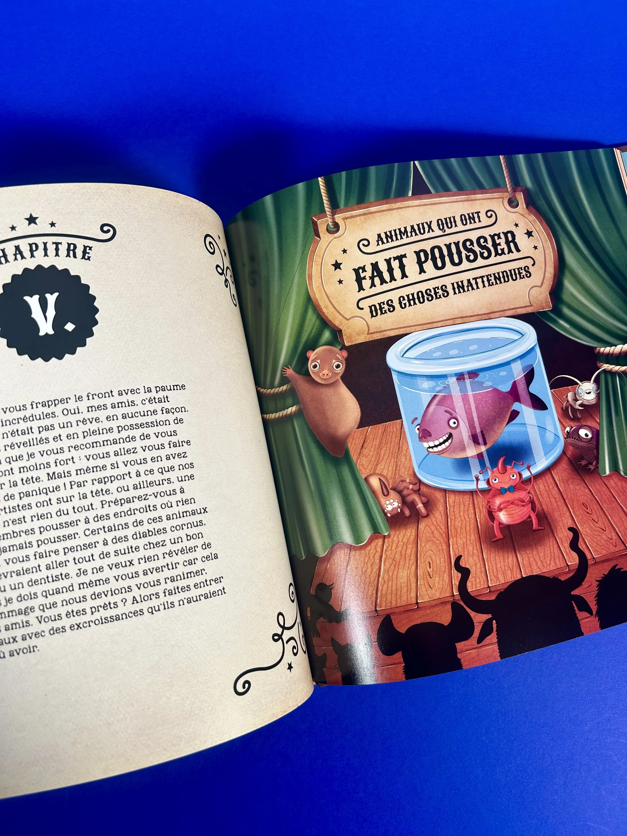 Replay kids_livre_incoyable animaux du monde_3.jpeg