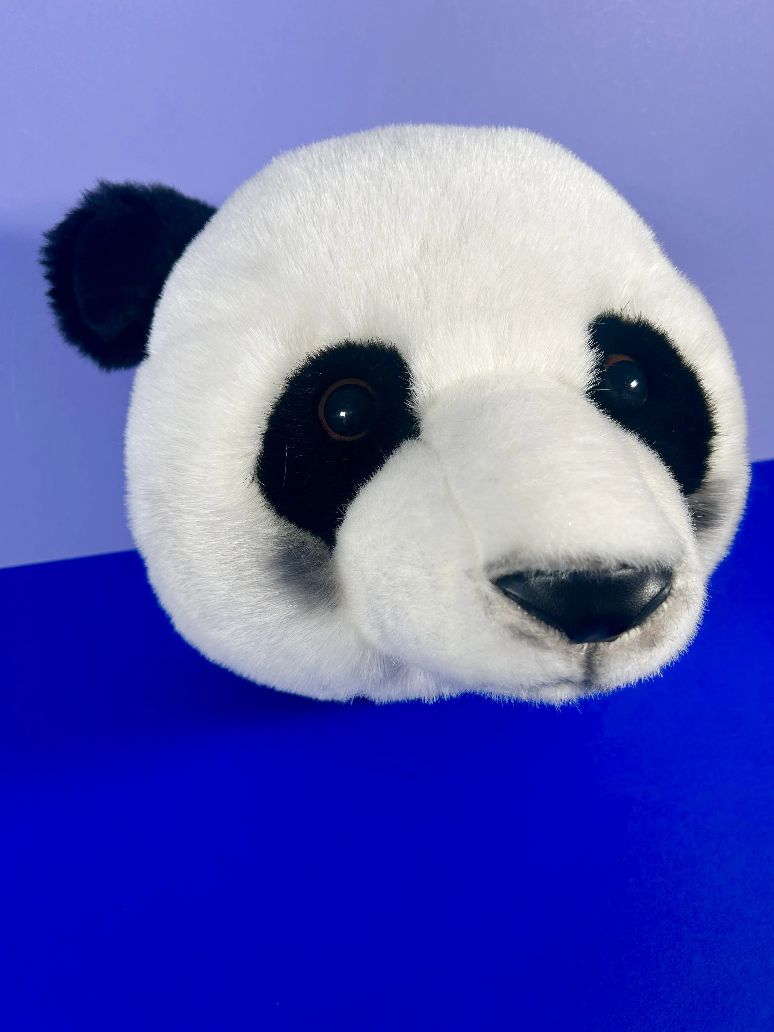 Replay kids_tête trophé panda_2.jpeg