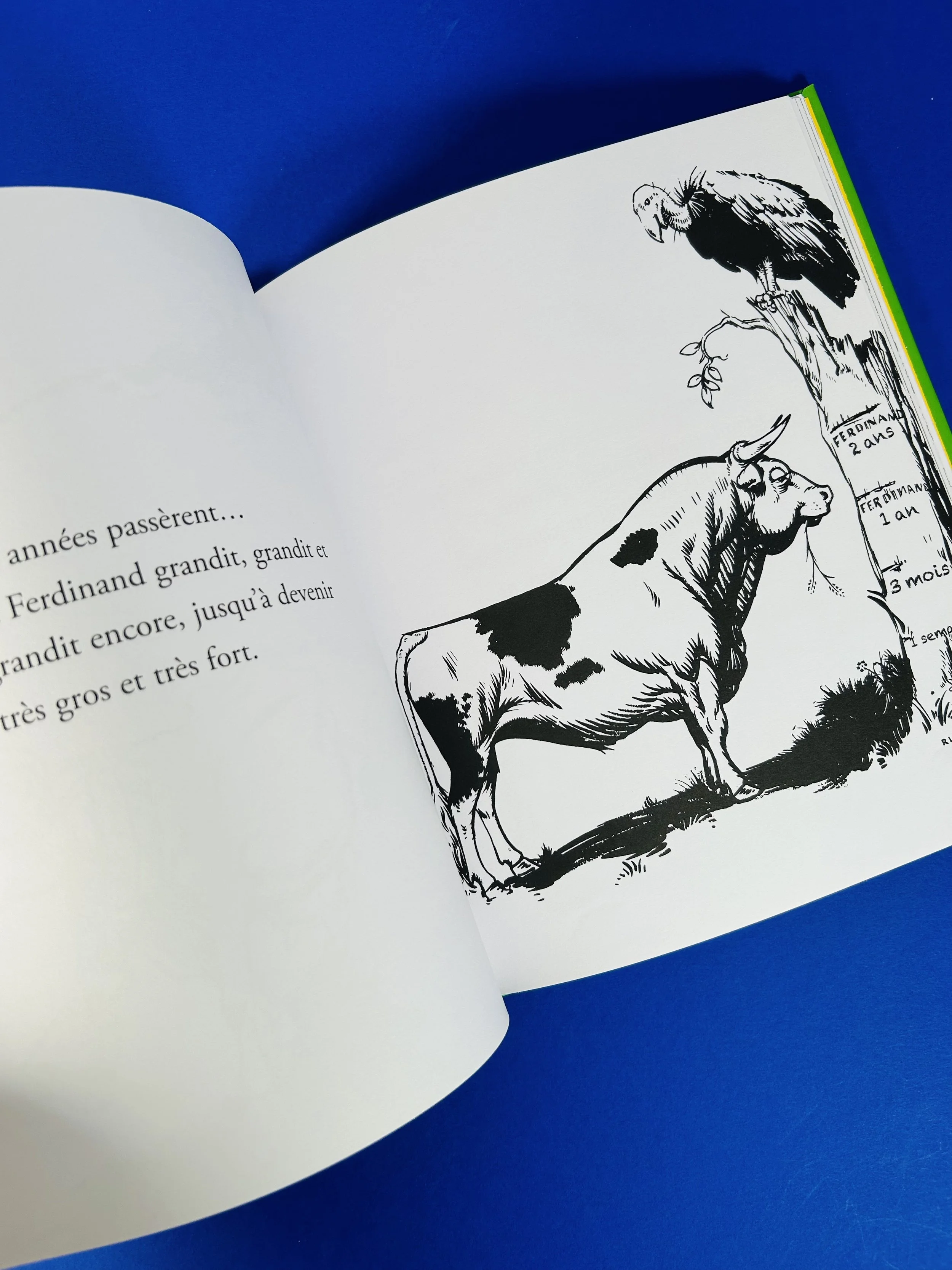 Replay kids_livre_ferdinand_6.jpeg