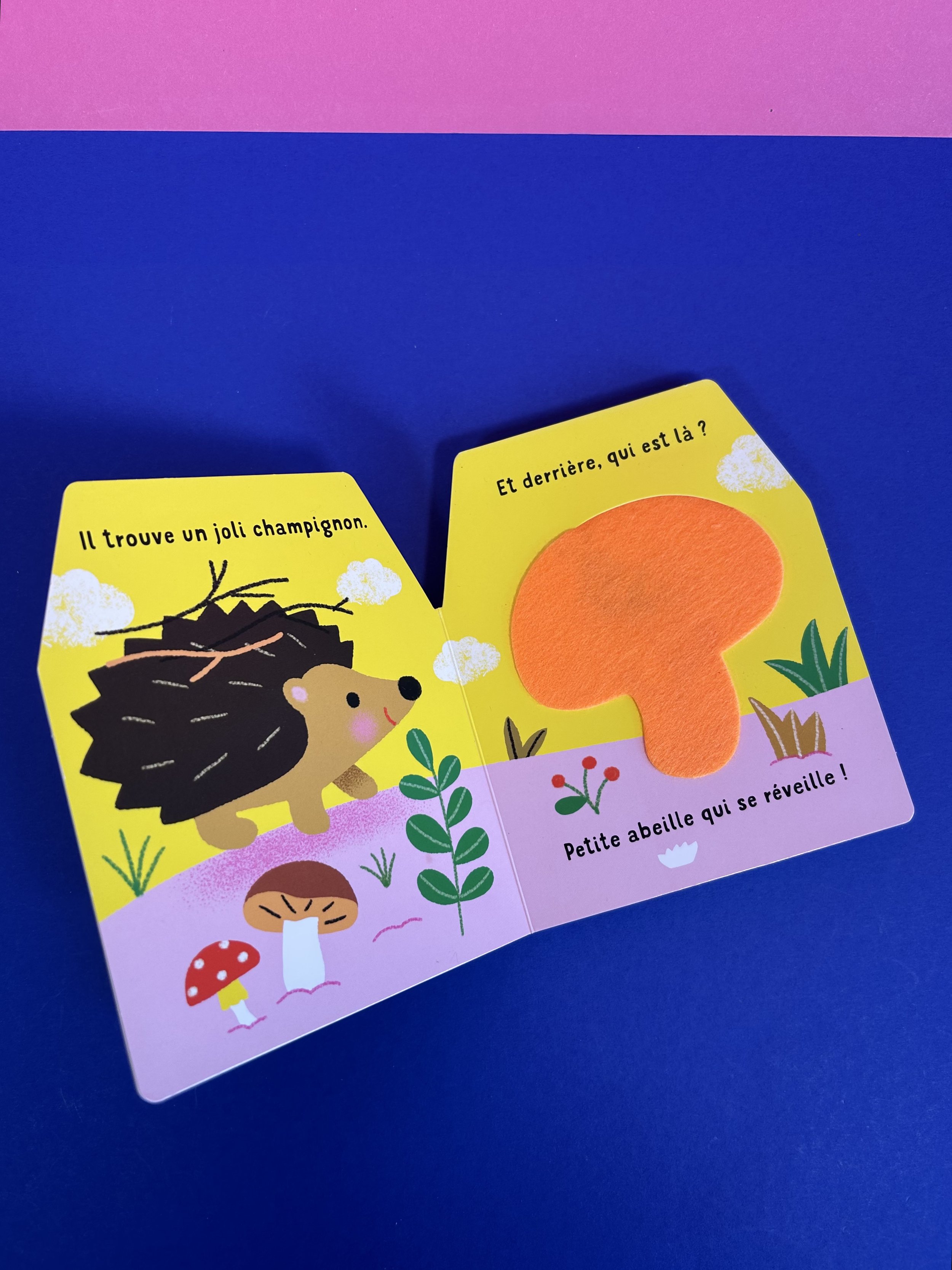 Replay kids_livre_petit hérisson_3.jpeg