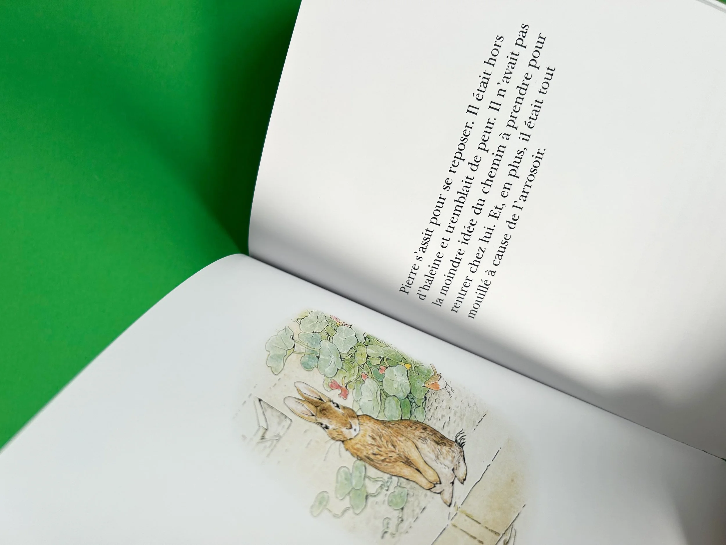 Replay kids_pierre lapin_3.jpeg