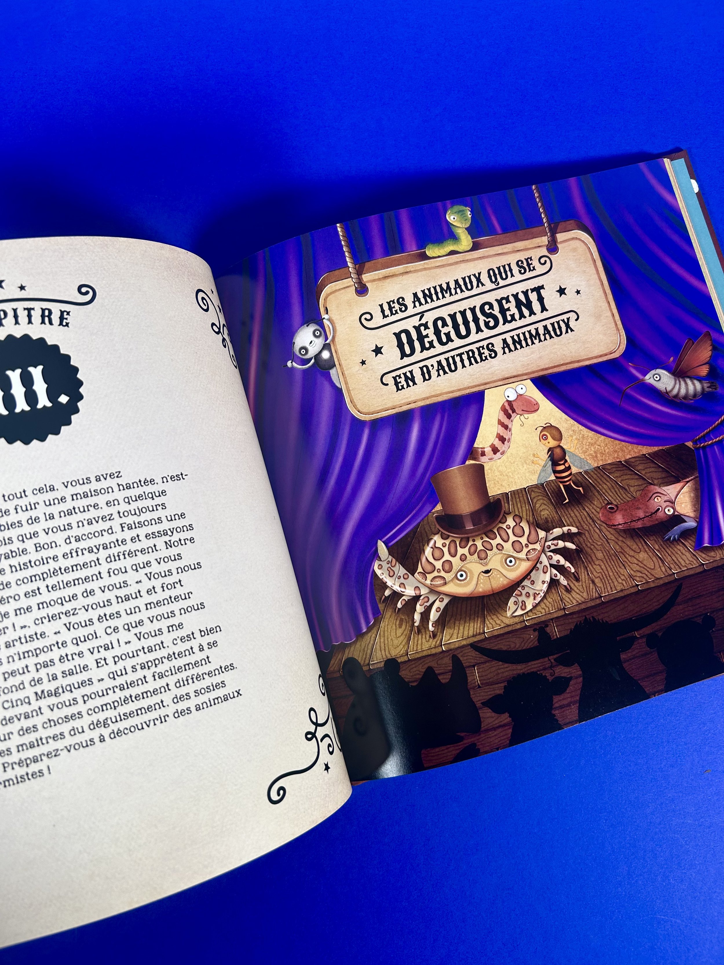 Replay kids_livre_incoyable animaux du monde_5.jpeg