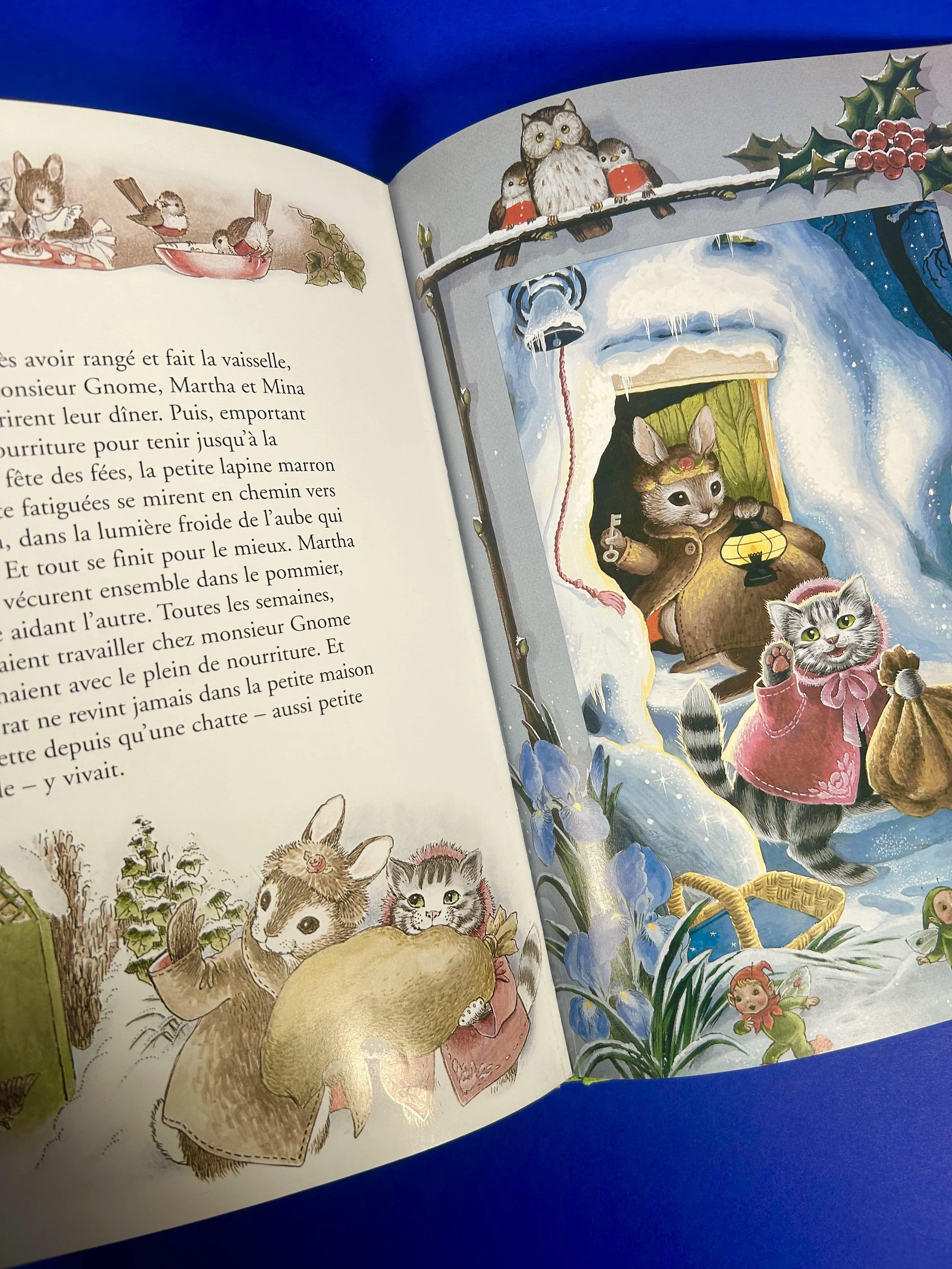 Replay kids_livre_la cuisine des fées_4.jpeg