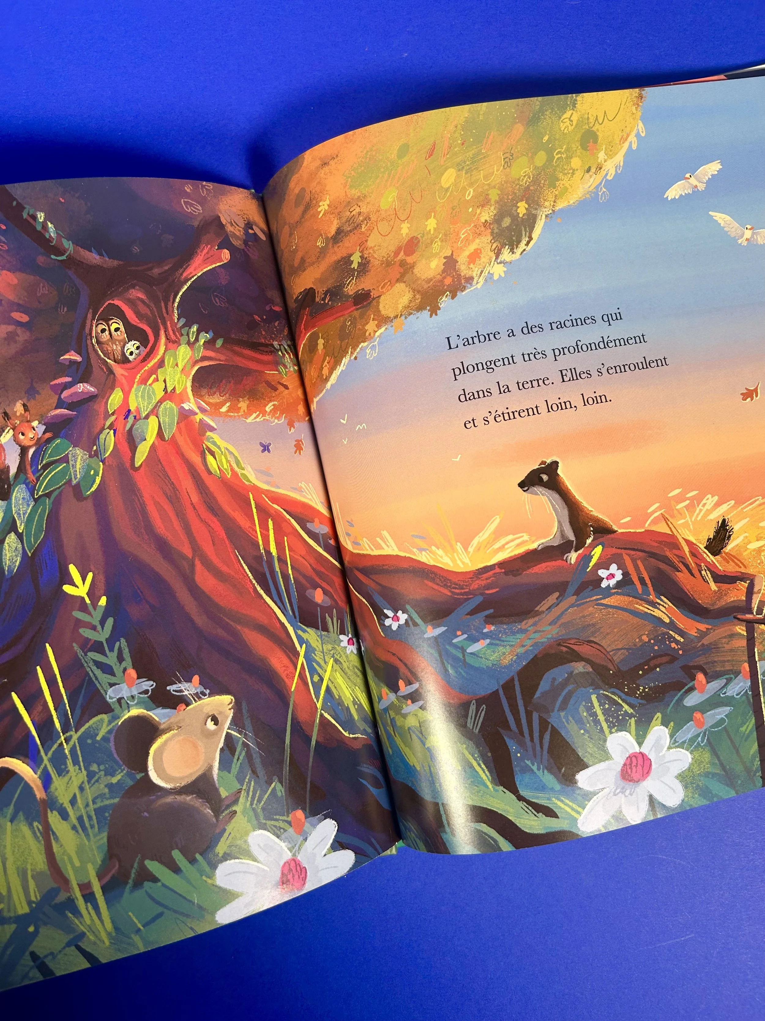 Replay kids_livre_l'arbre aux merveilles_4.jpeg