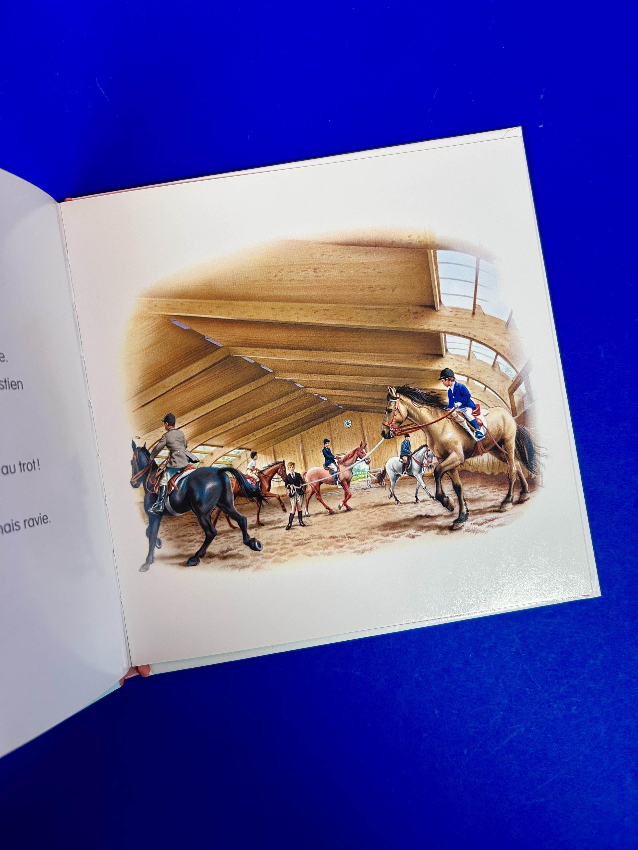 Replay kids_Livre_Lot 2x Martine_3.jpeg