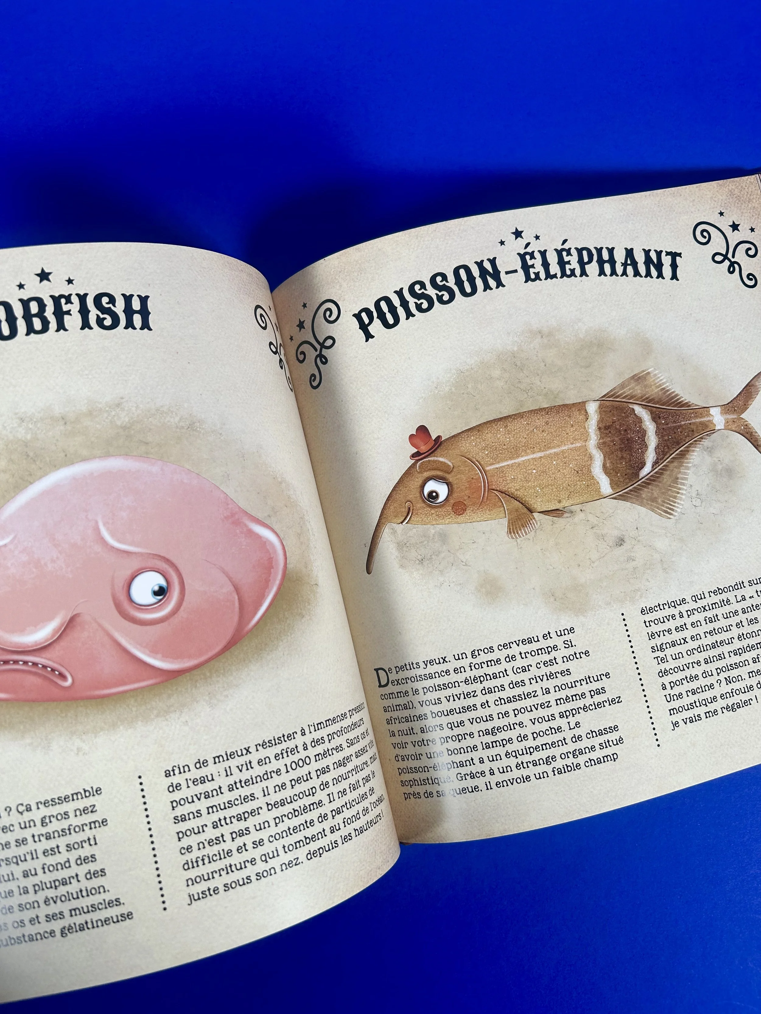 Replay kids_livre_incoyable animaux du monde_4.jpeg