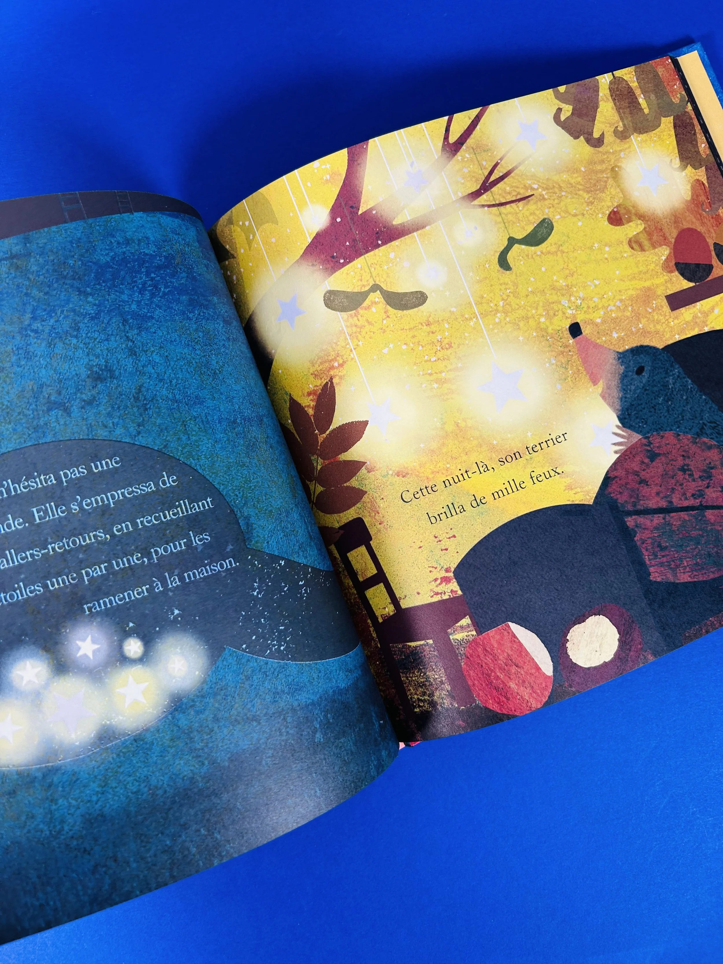 Replay kids_livre_la bonne étoile de taupe_6.jpeg