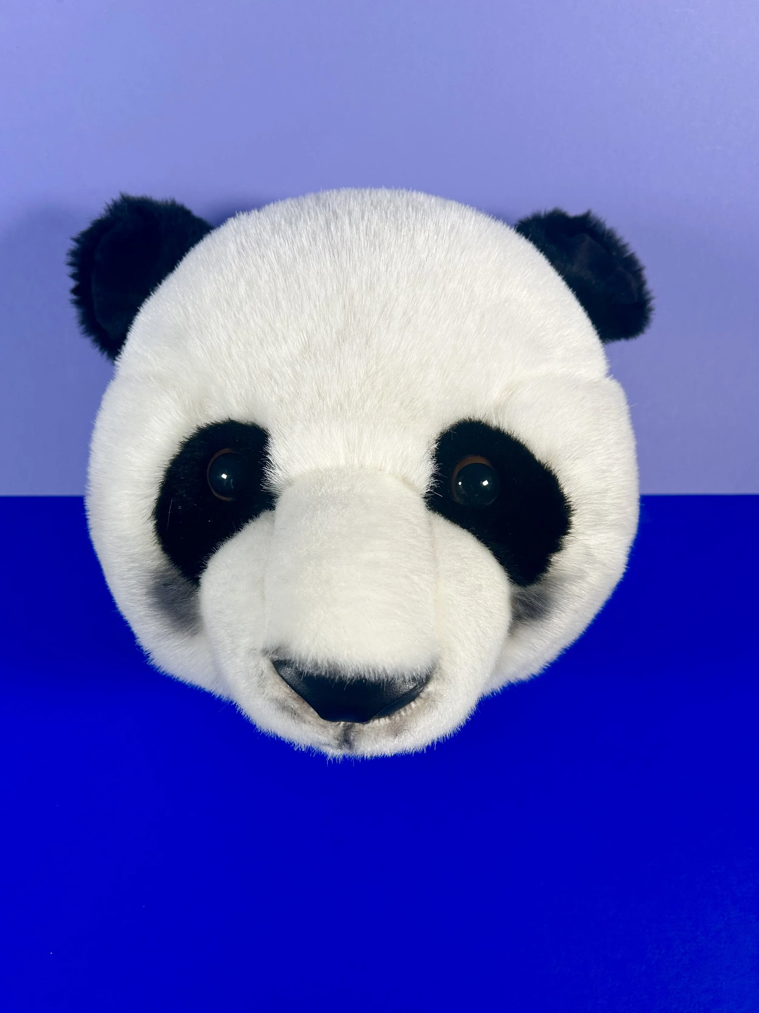 Trophée Panda  -  Wild & Soft