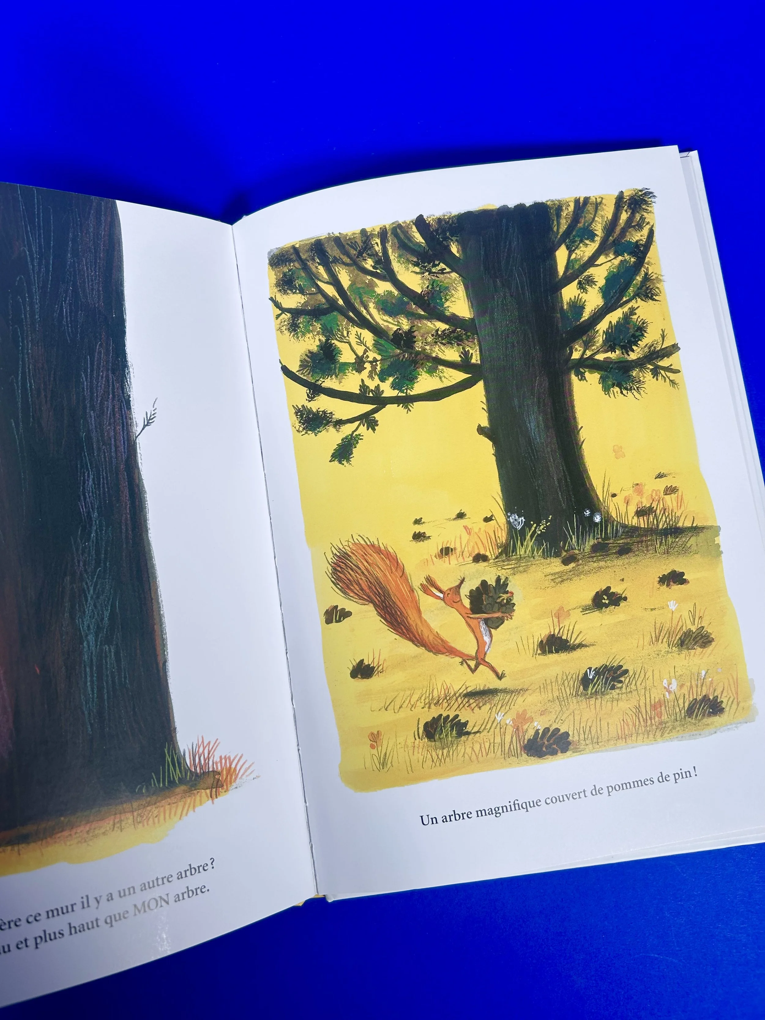 Replay kids_livre_c'est mon arbre_3.jpeg