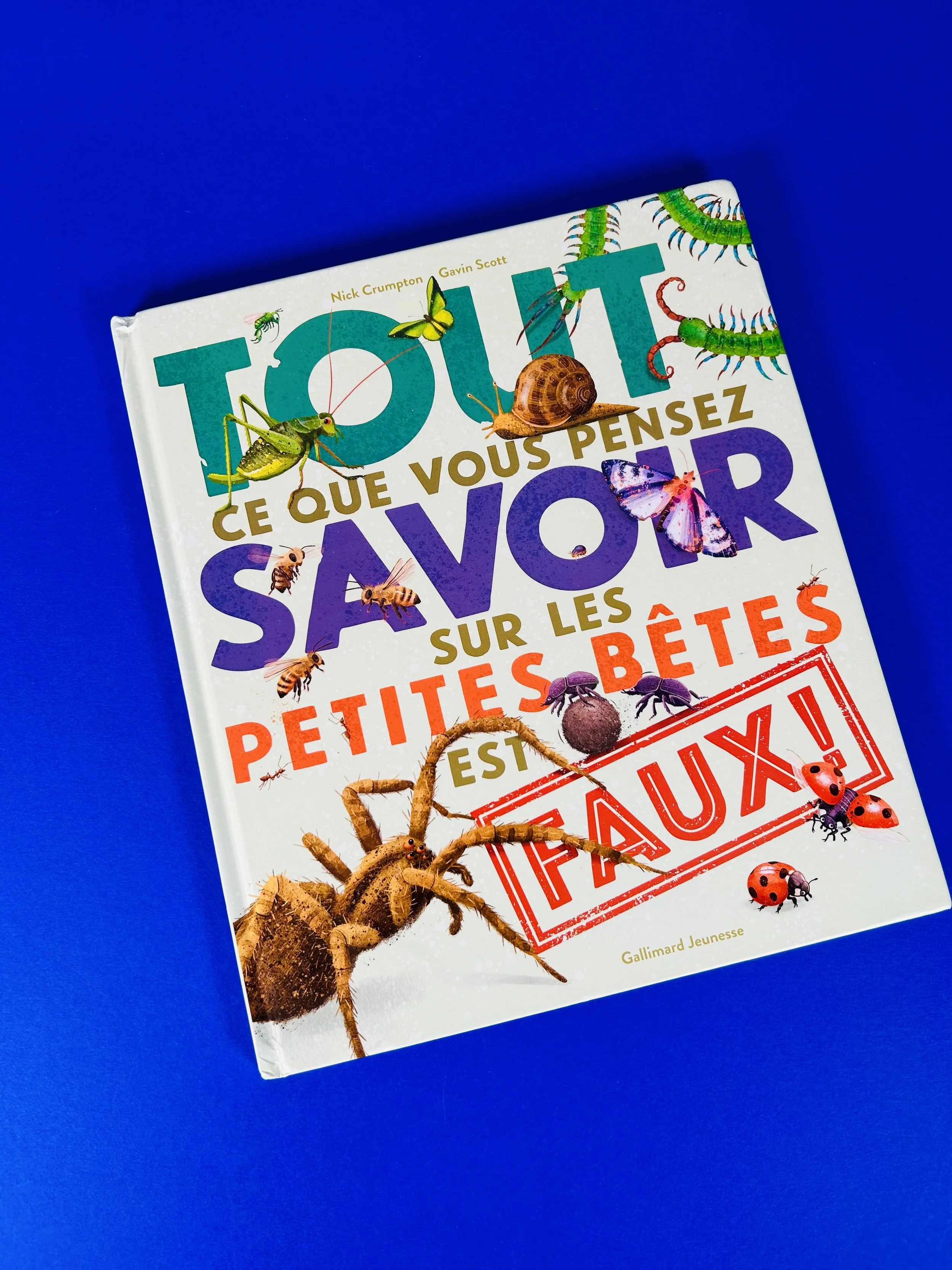Replay kids_livre_tout savoir sur les petites bêtes_1.jpeg