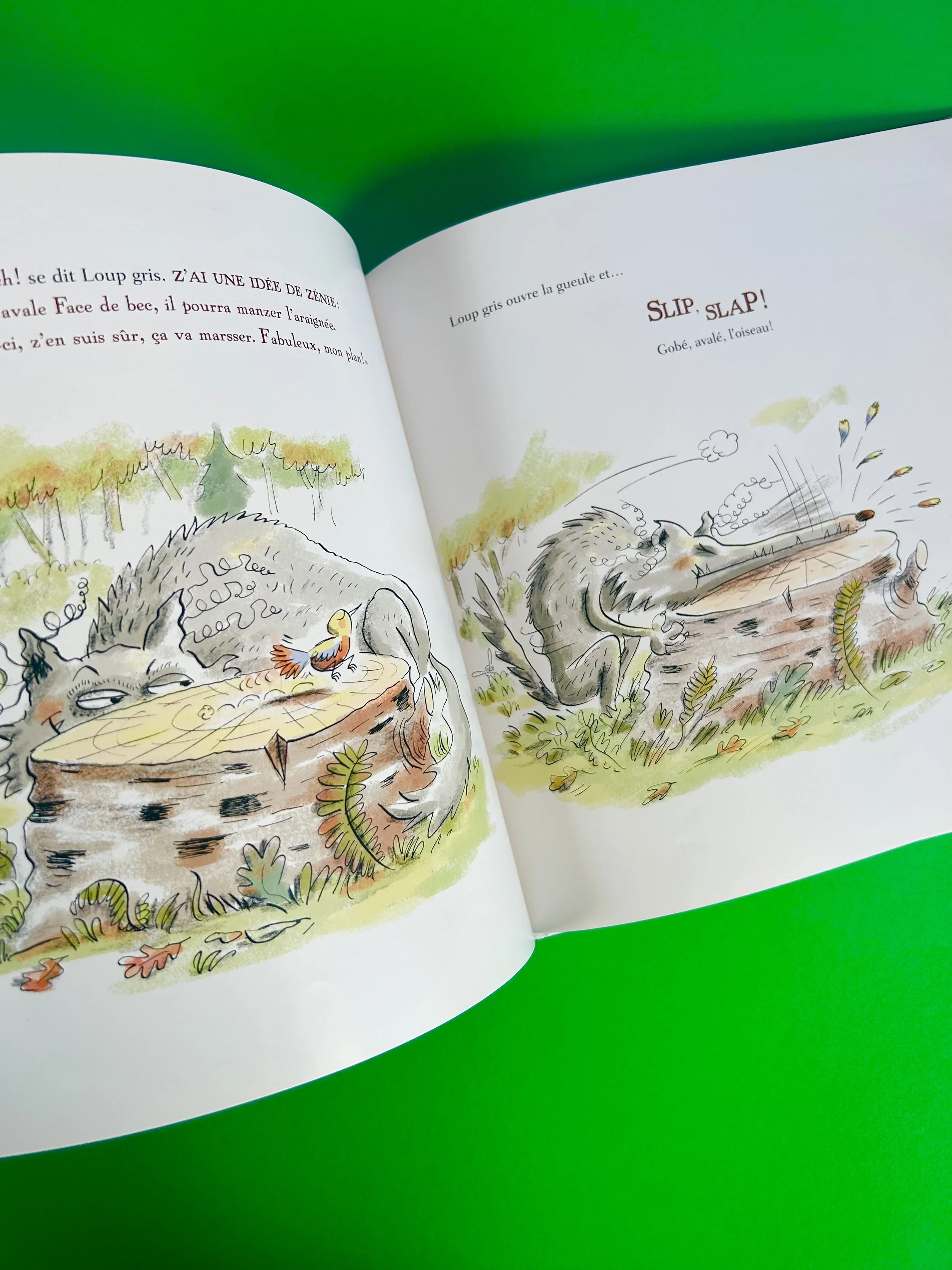 Replay kids_Loup gris et la mouche_Didier jeunesse_3.jpeg