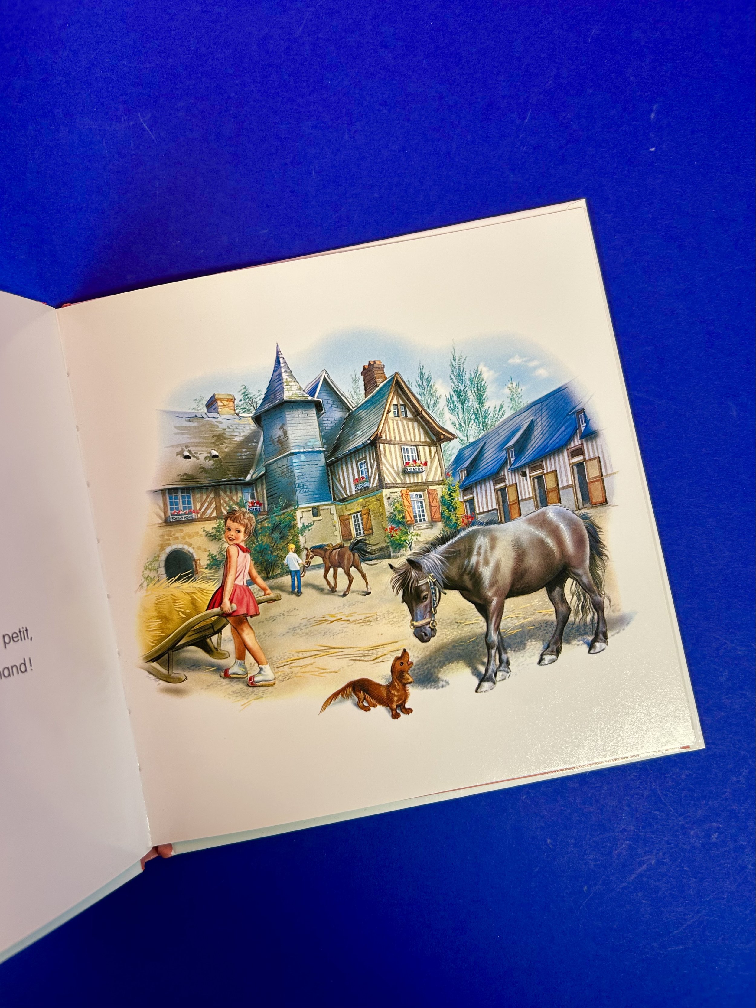 Replay kids_Livre_Lot 2x Martine_2.jpeg