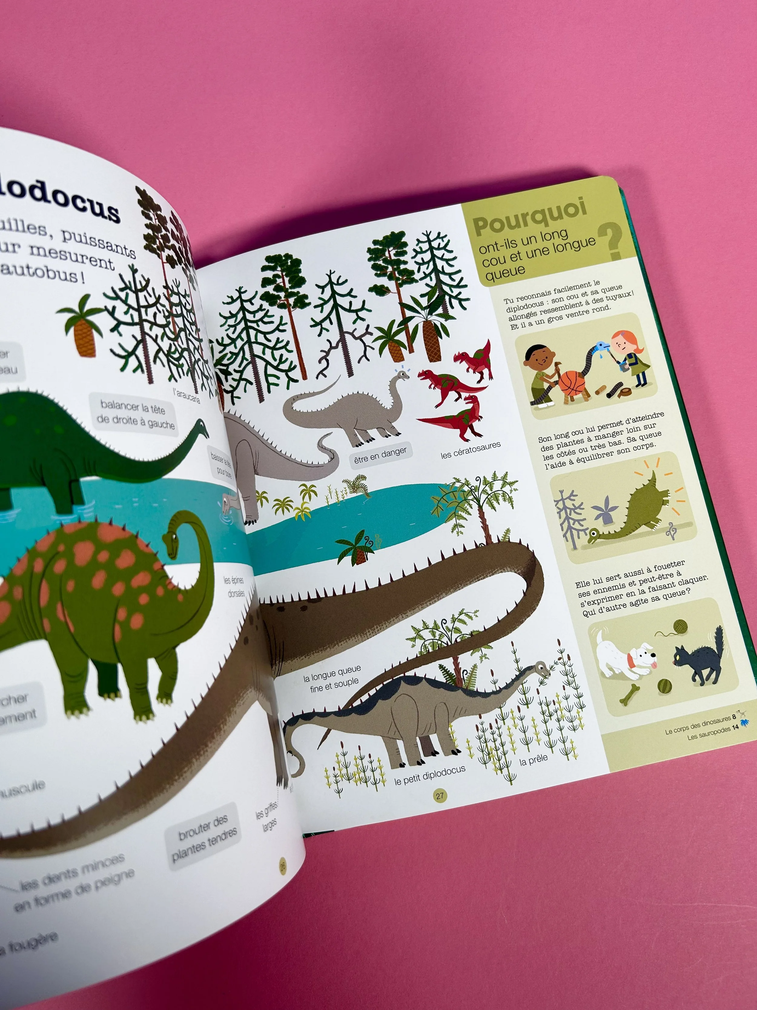 Replay kids_livre_les dinosaures_8.jpeg