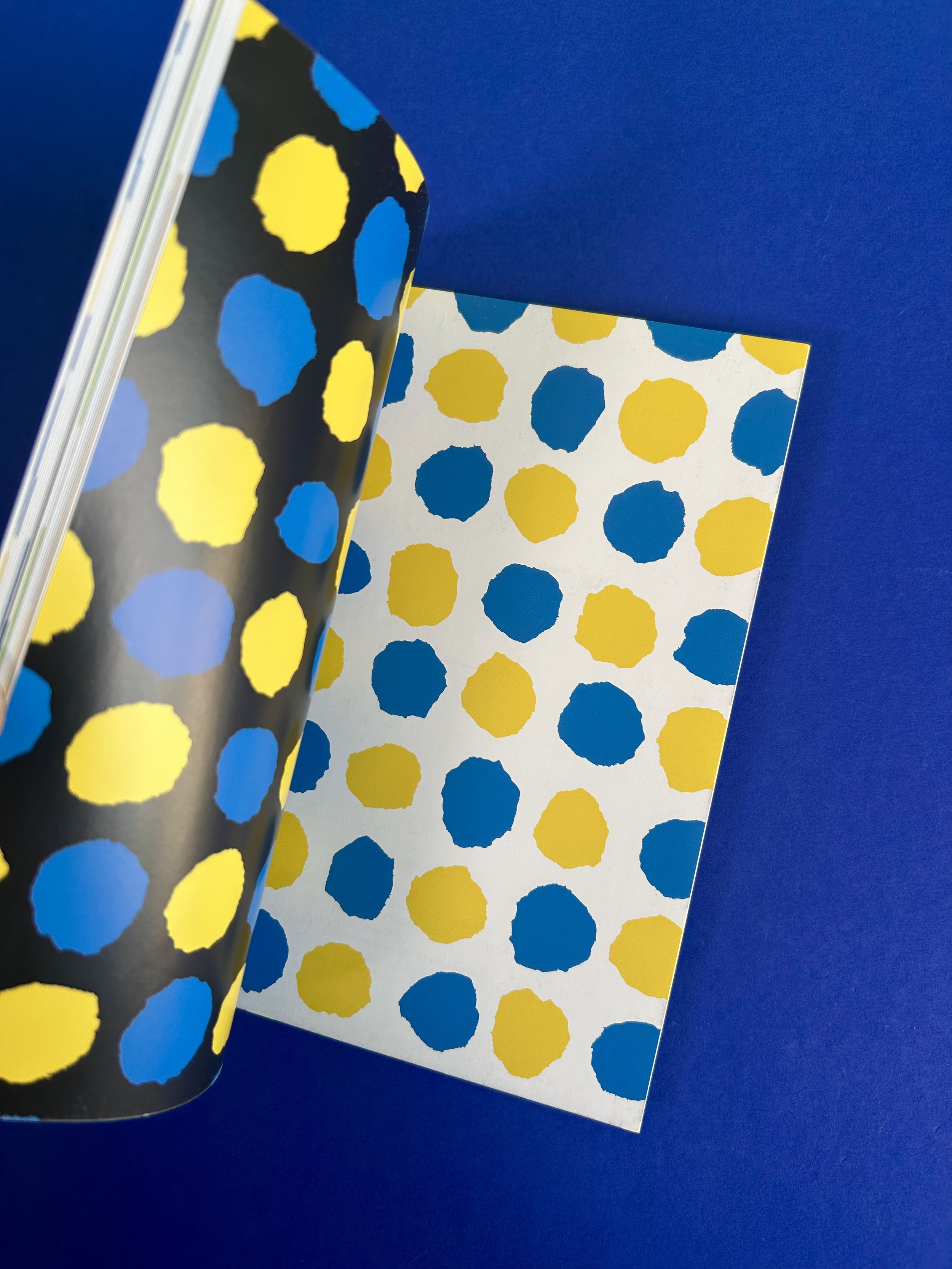 Replay kids_livre_petit bleu et petit jaune_5.jpeg