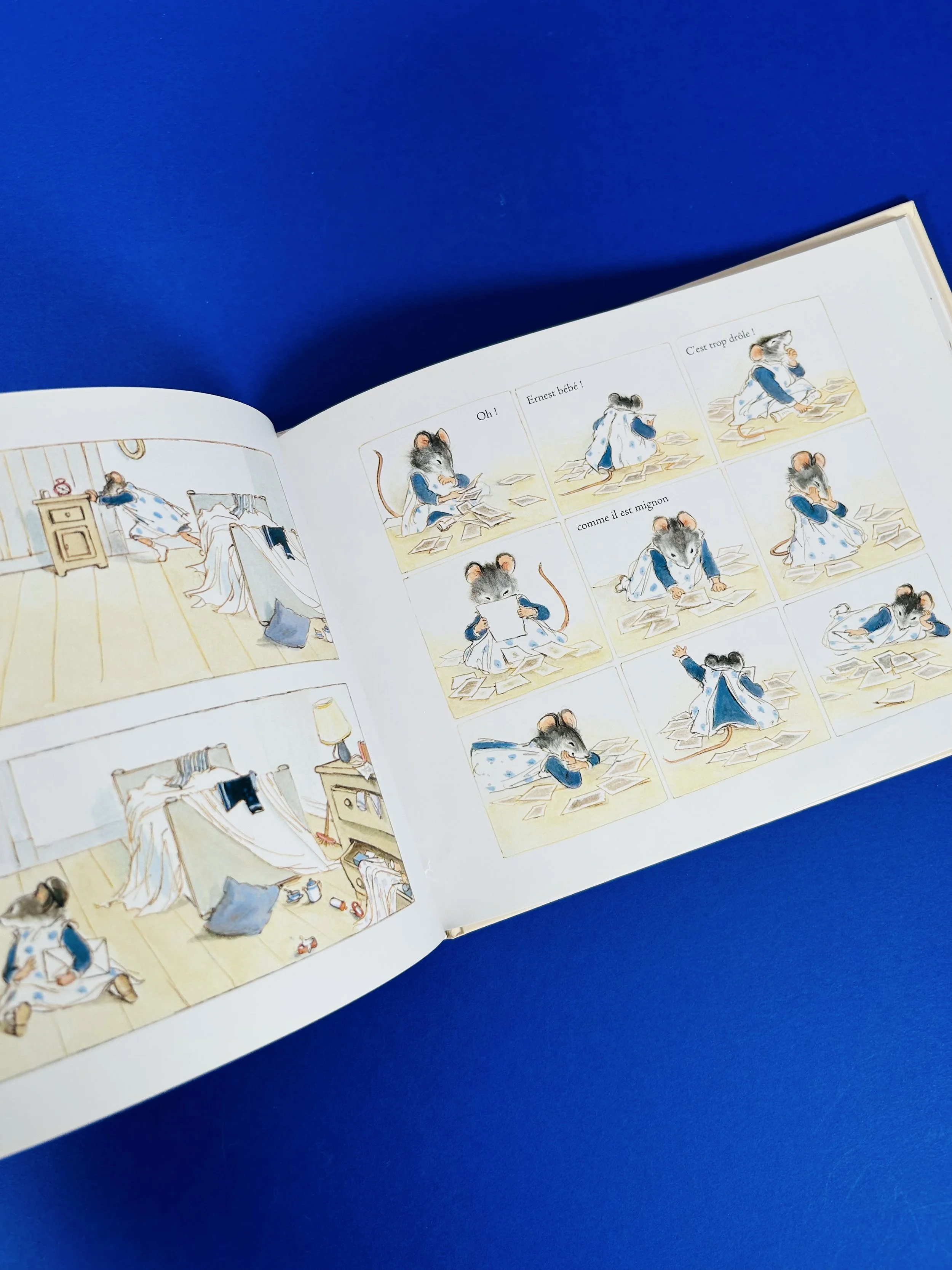 Replay kids_livre_ernest & célestine_4.jpeg