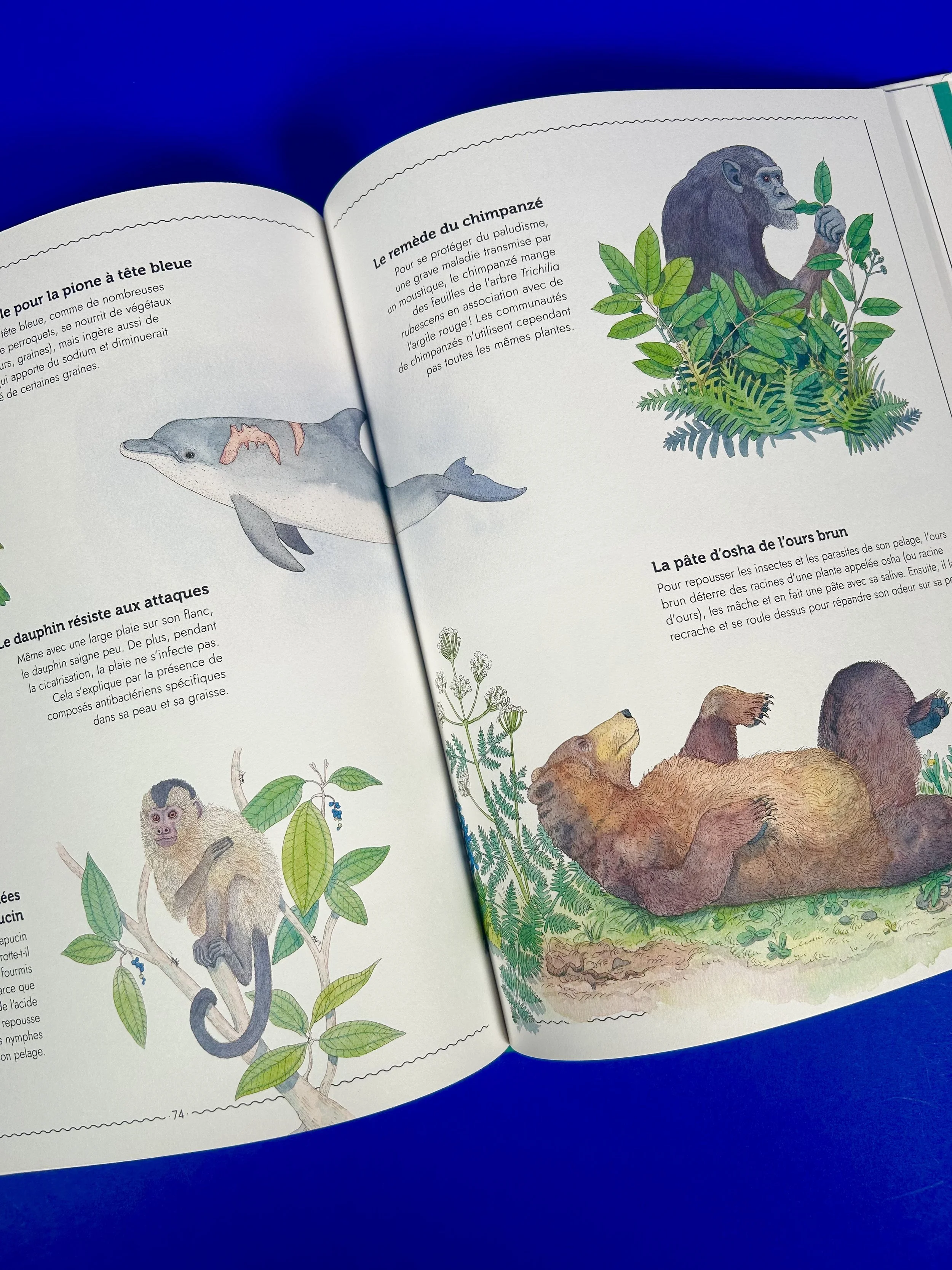 Replay kids_livre_vivre_4.jpeg