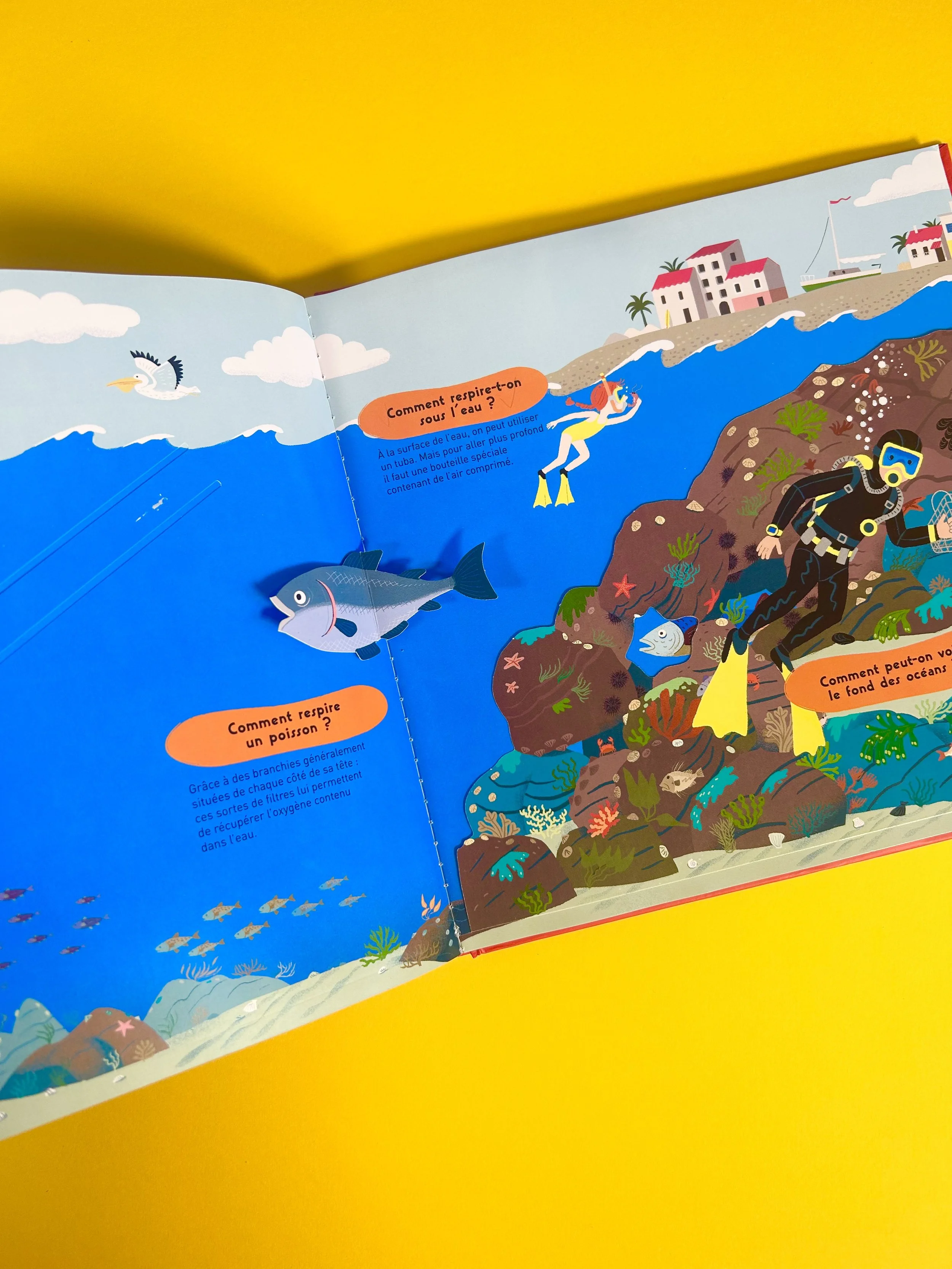 Replay kids_Le Kididoc des comment?_livre_7.jpeg