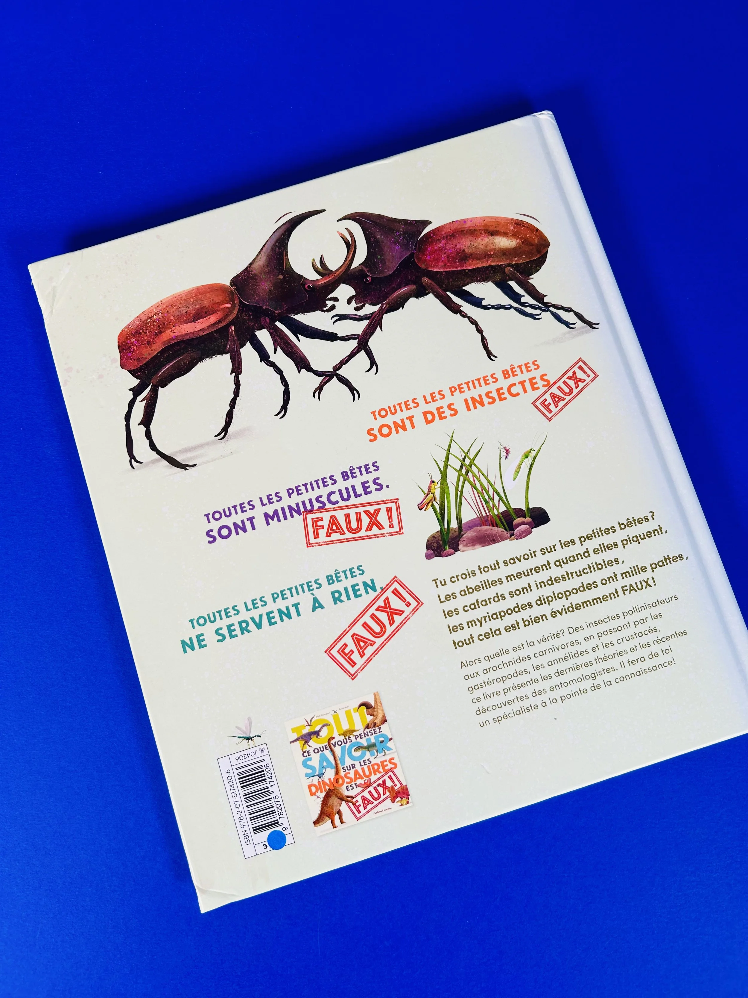 Replay kids_livre_tout savoir sur les petites bêtes_2.jpeg