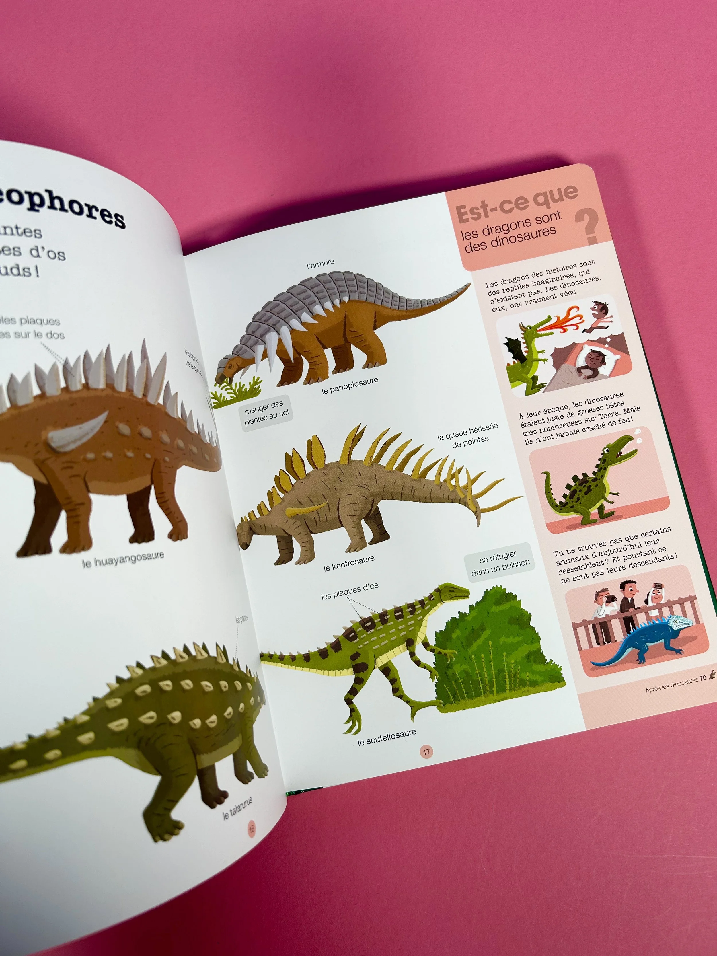 Replay kids_livre_les dinosaures_9.jpeg