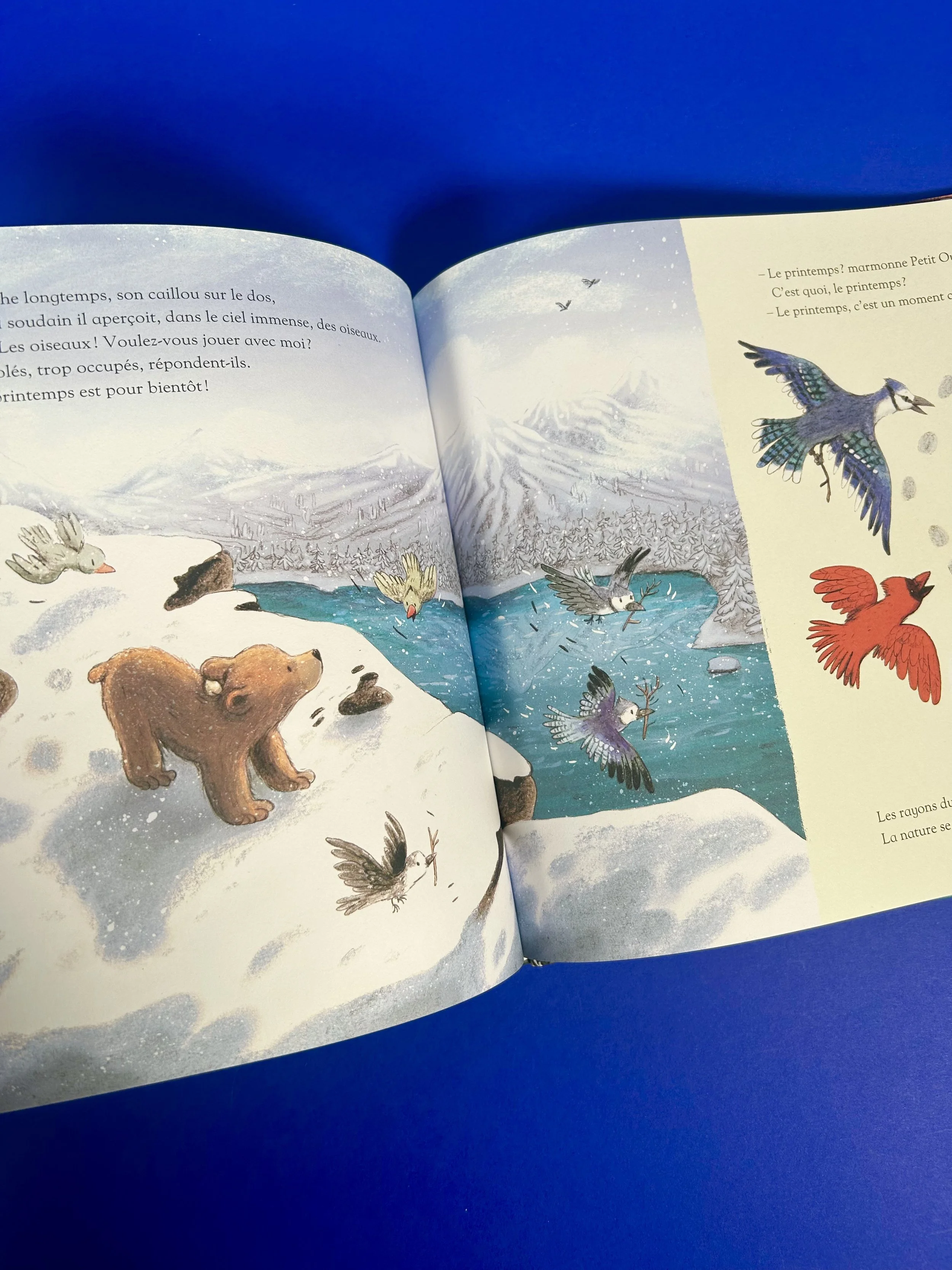 Replay kids_livre_c'est le printemps petit ours_7.jpeg