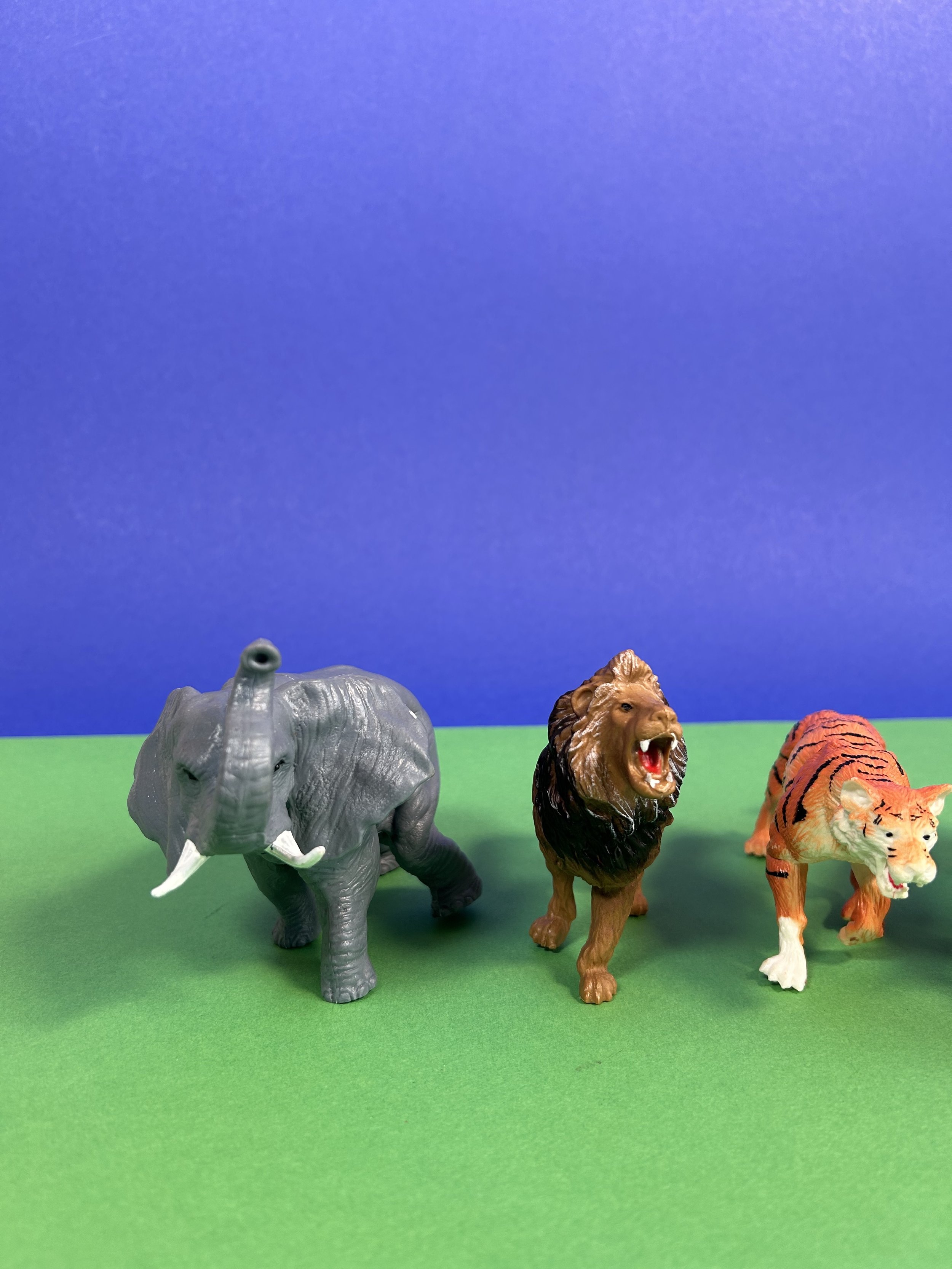 Replay_lots d'animaux savanes_2.jpeg