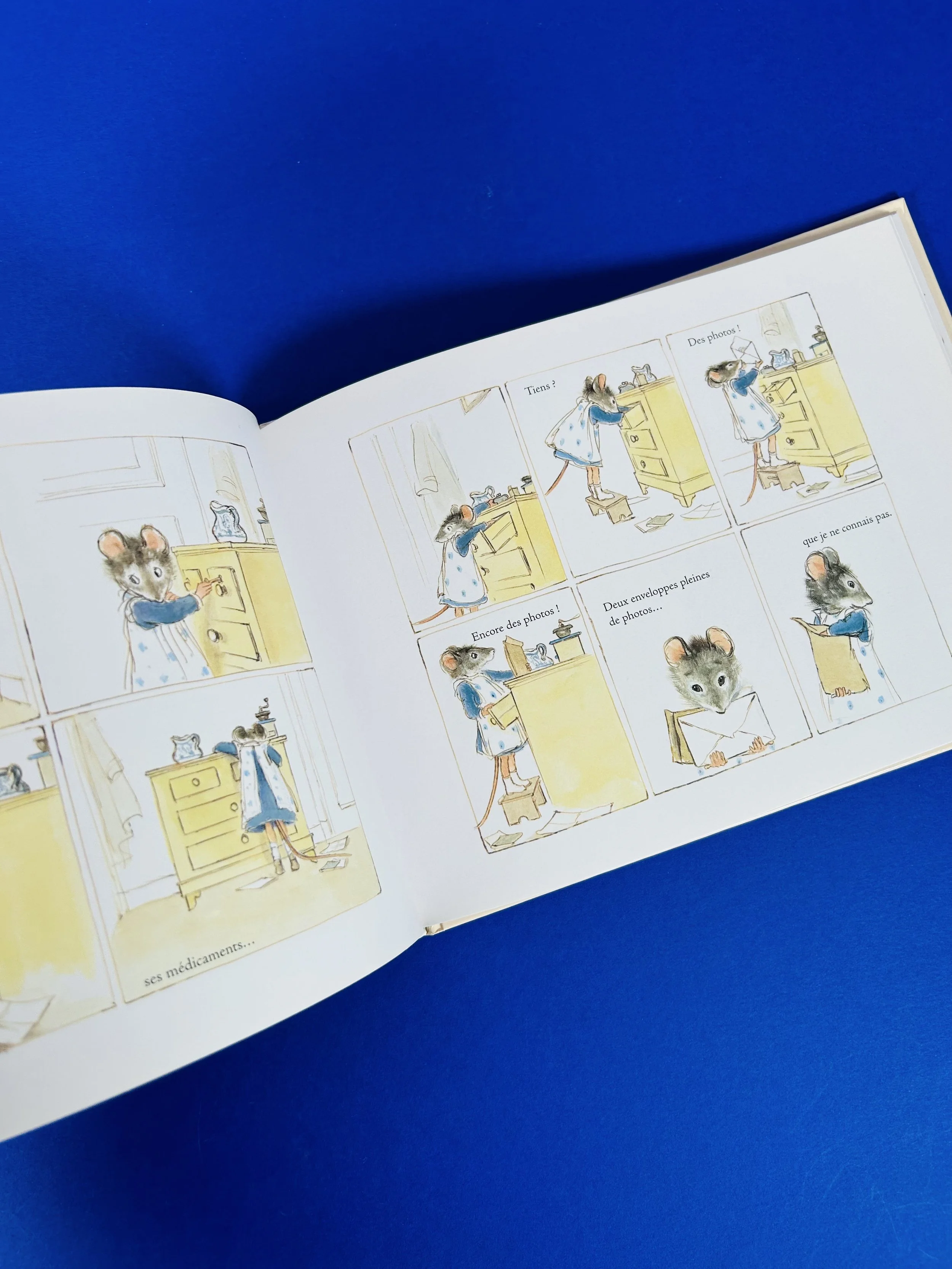 Replay kids_livre_ernest & célestine_5.jpeg