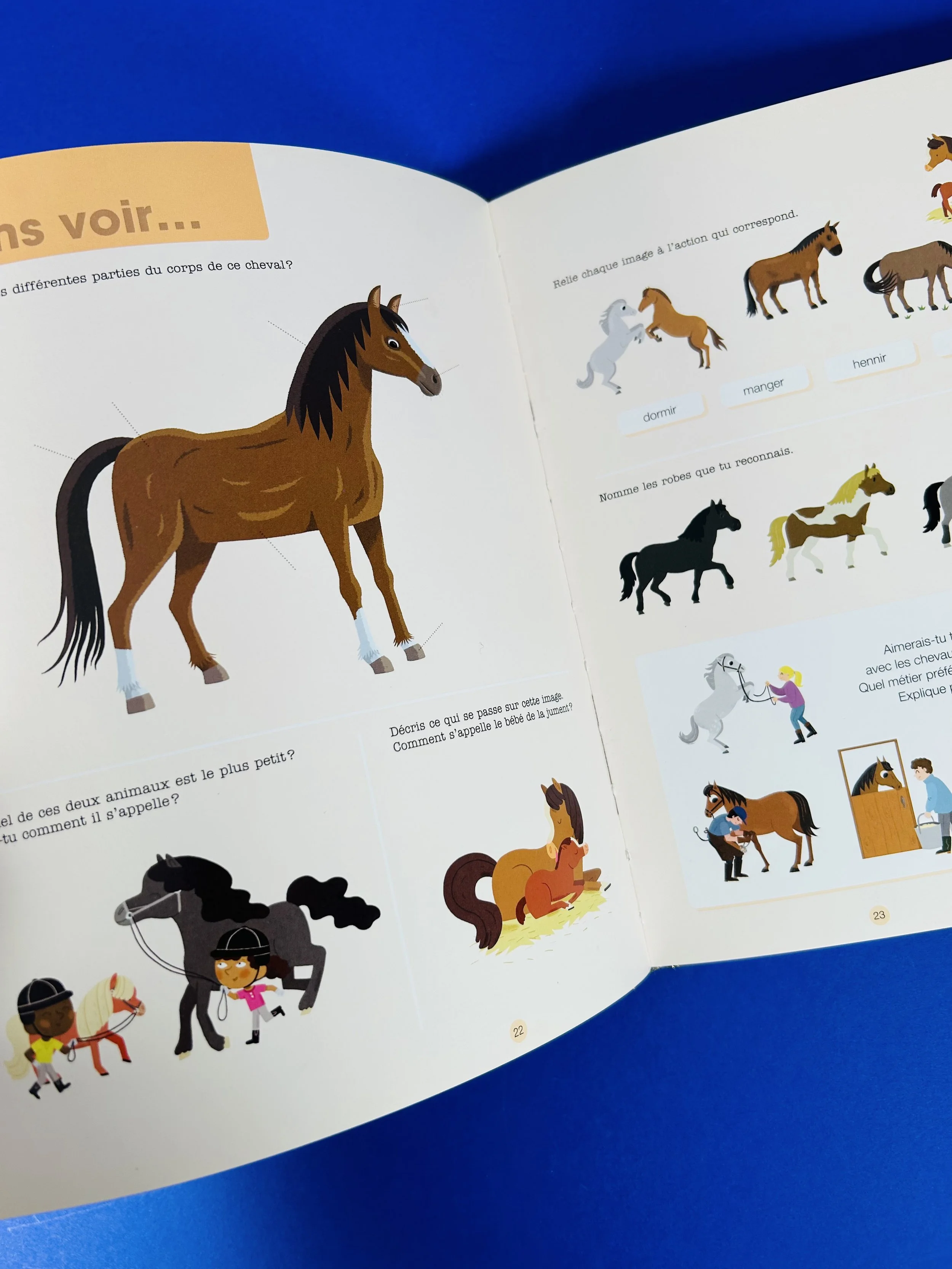 Replay kids_livre_poney et chevaux_7.jpeg