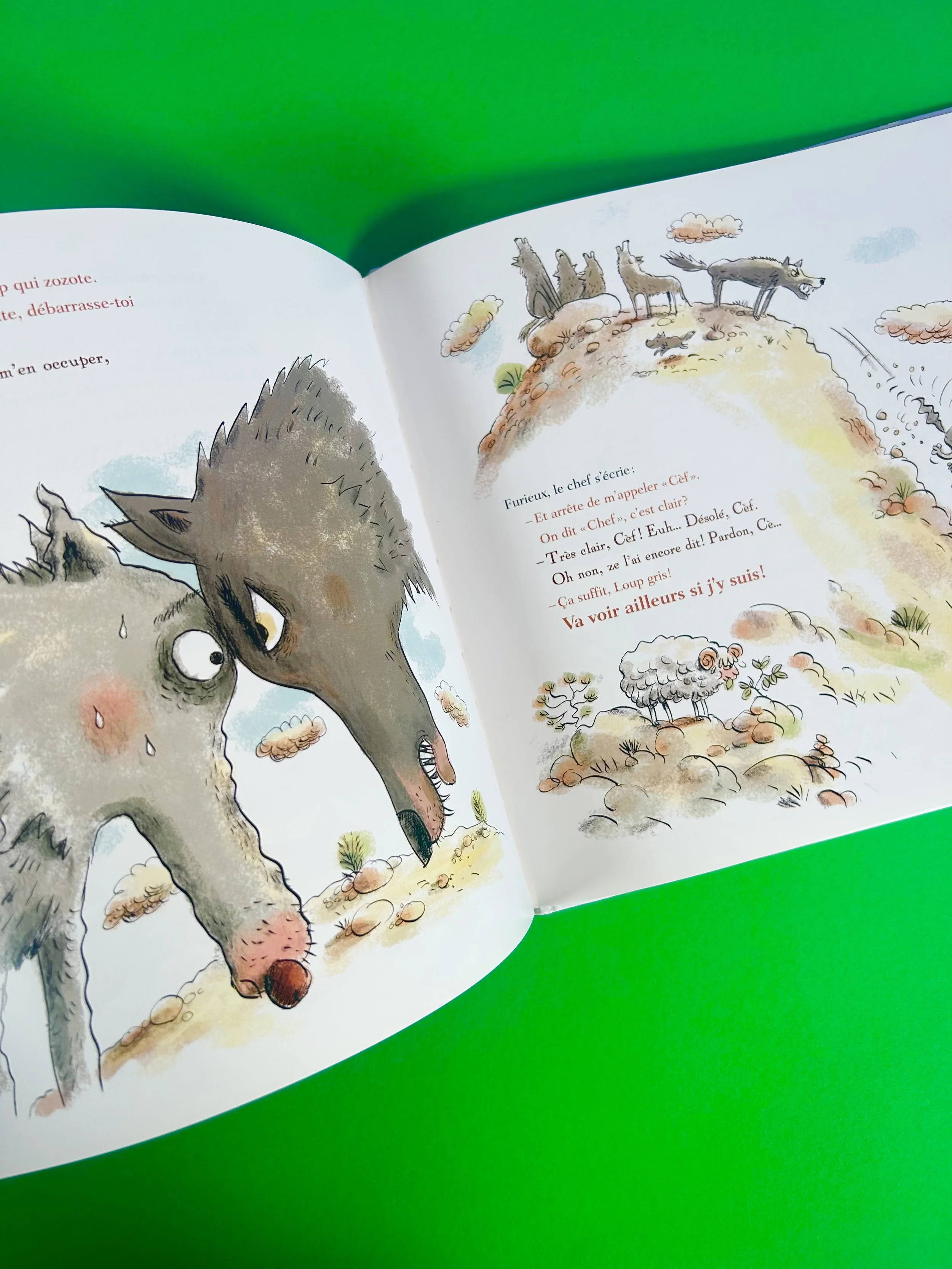 Replay kids_Loup gris et la mouche_Didier jeunesse_5.jpeg