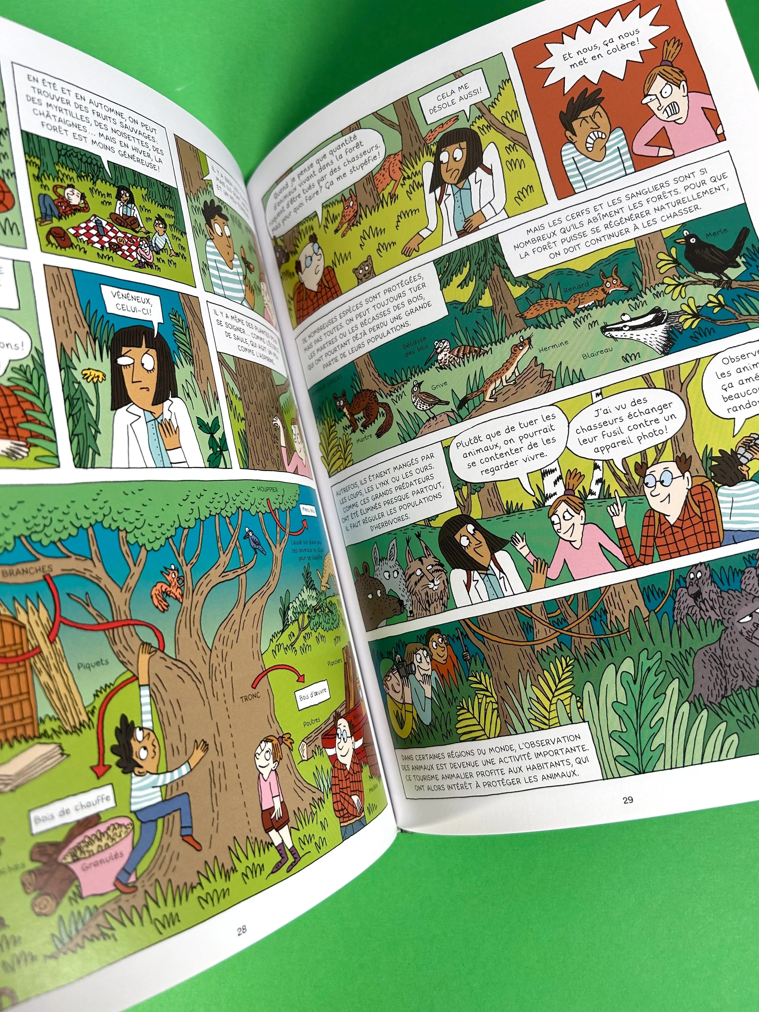 Replay kids_les forets_4.jpeg