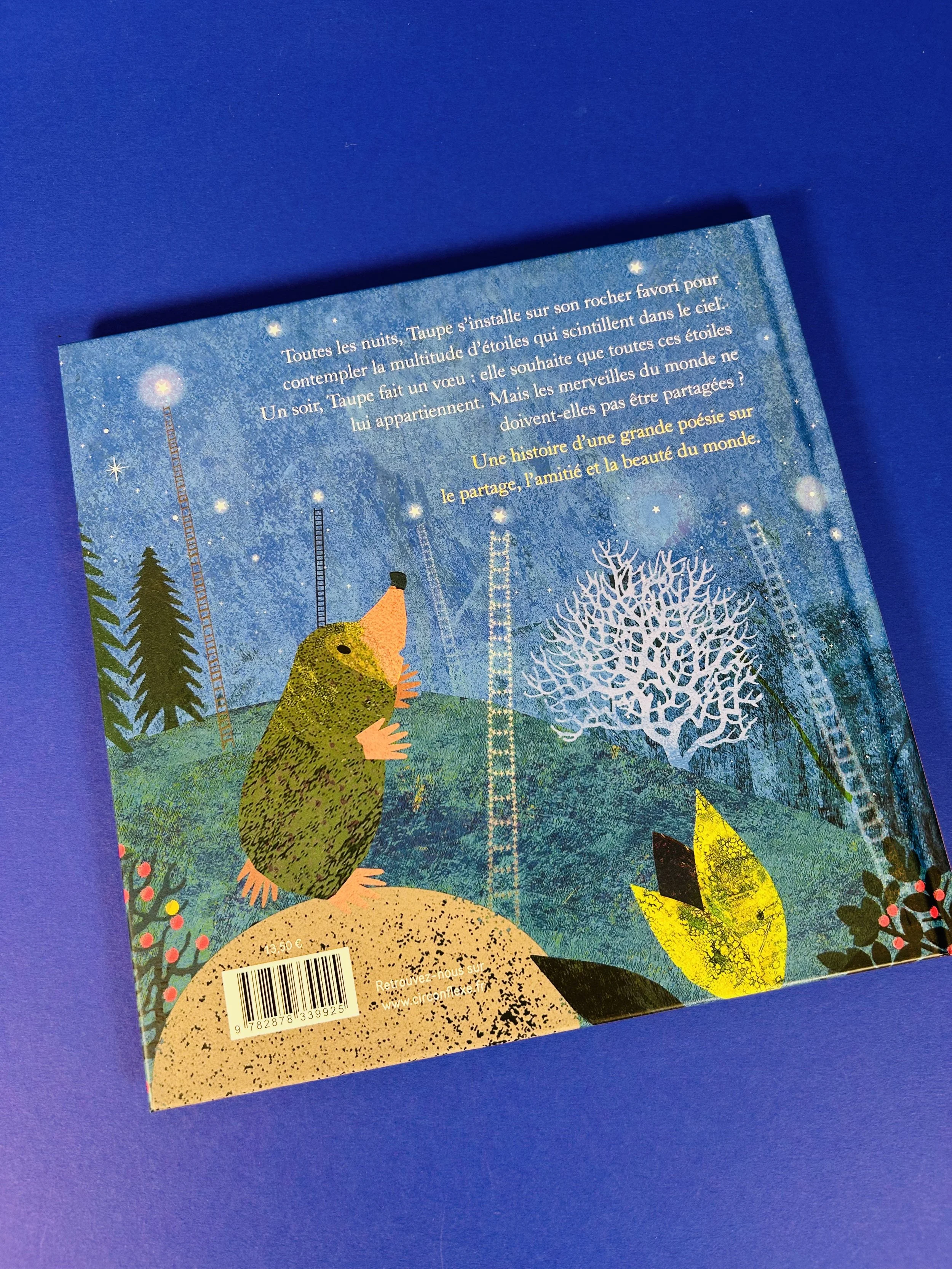 Replay kids_livre_la bonne étoile de taupe_2.jpeg