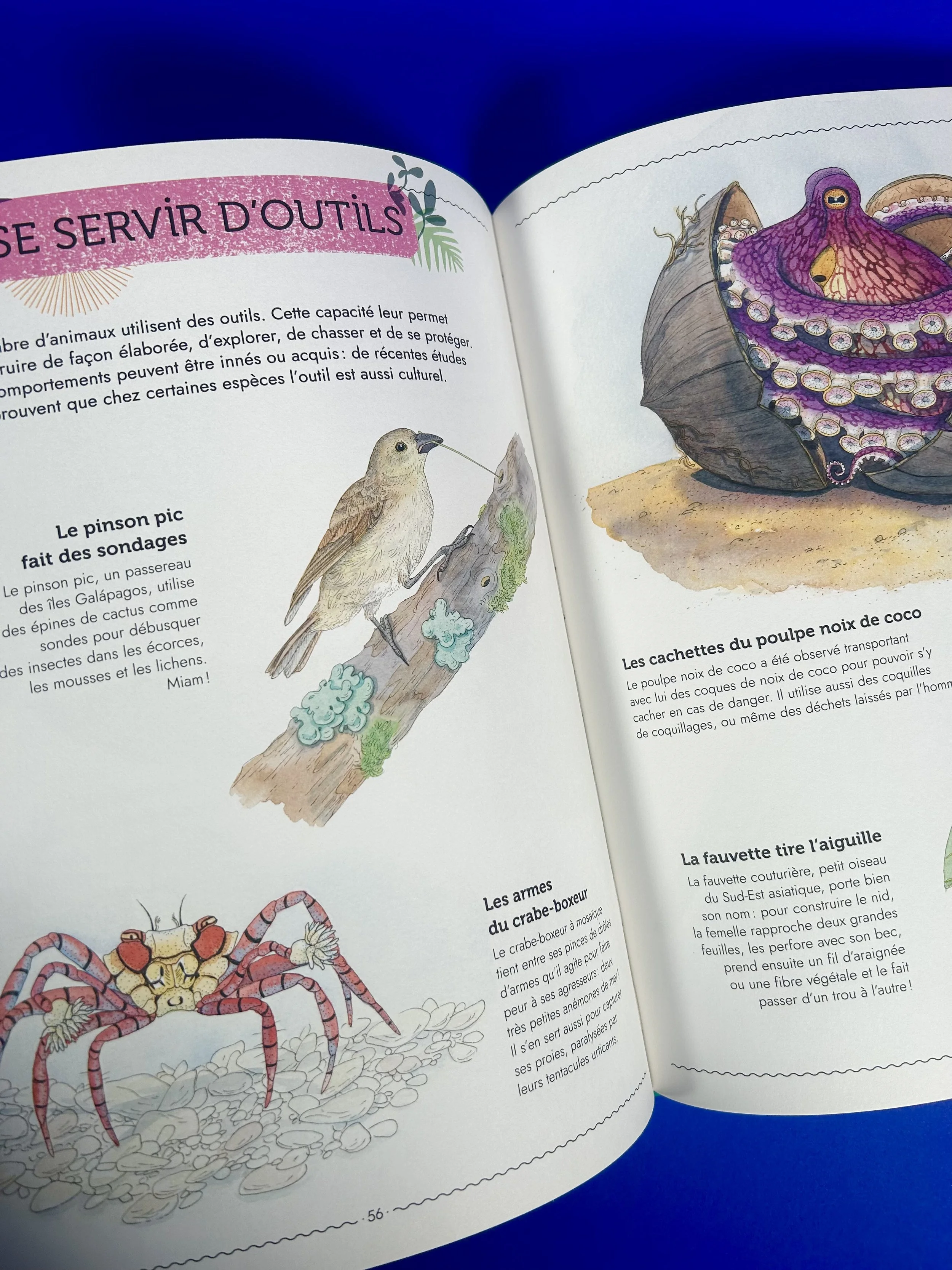 Replay kids_livre_vivre_7.jpeg