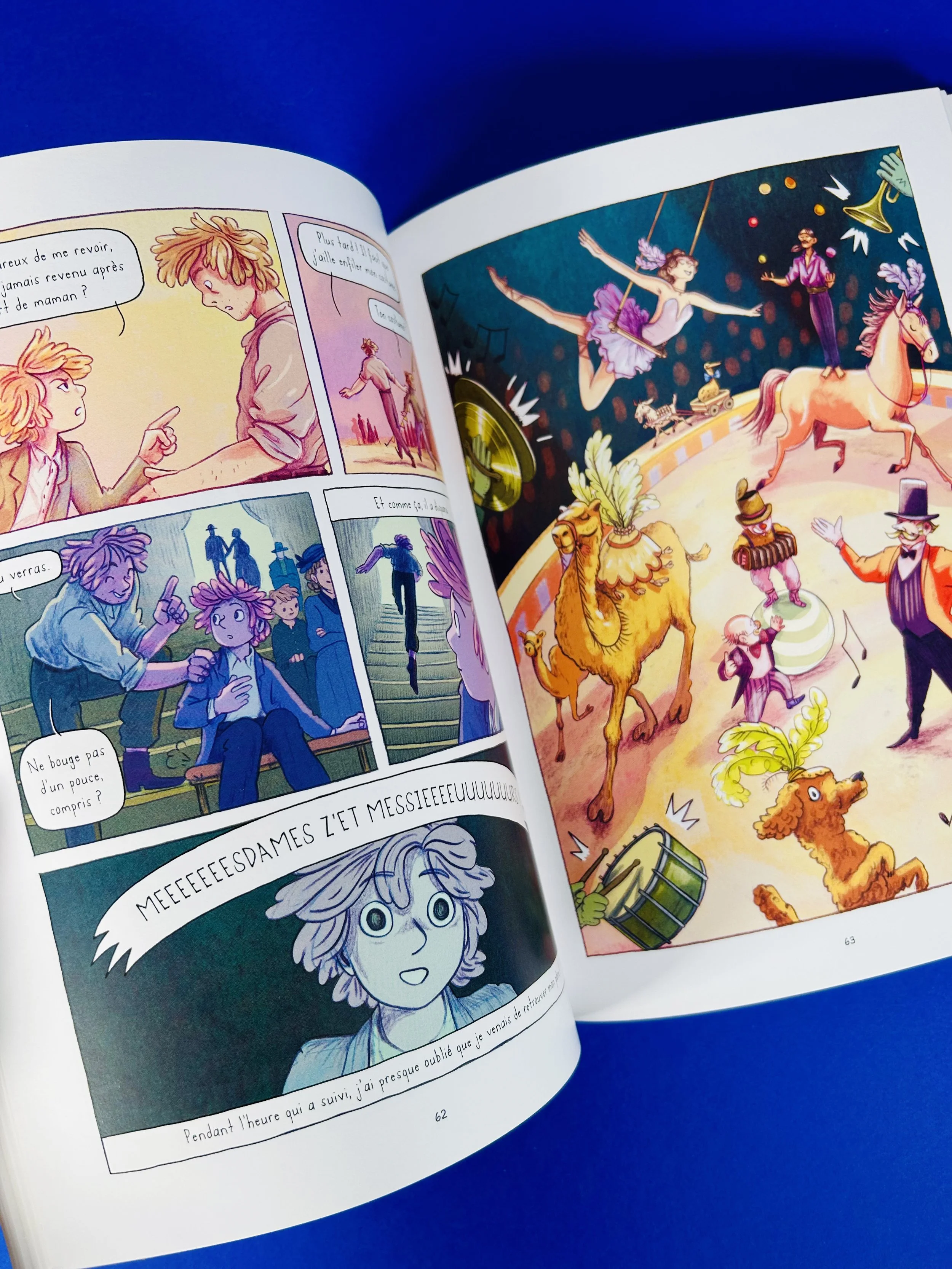 Replay kids_livre_la longue marche des dindes_3.jpeg