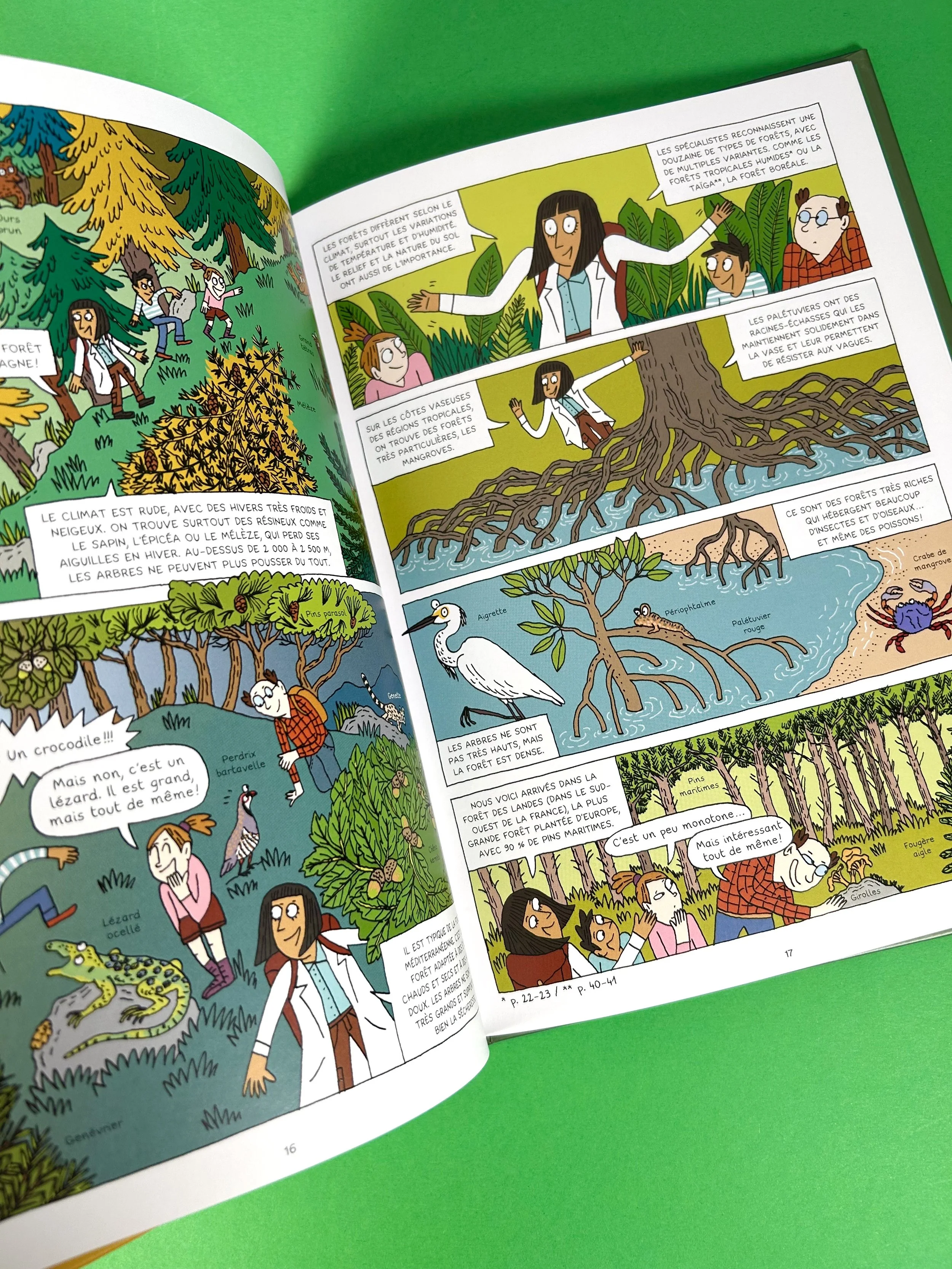 Replay kids_les forets_5.jpeg