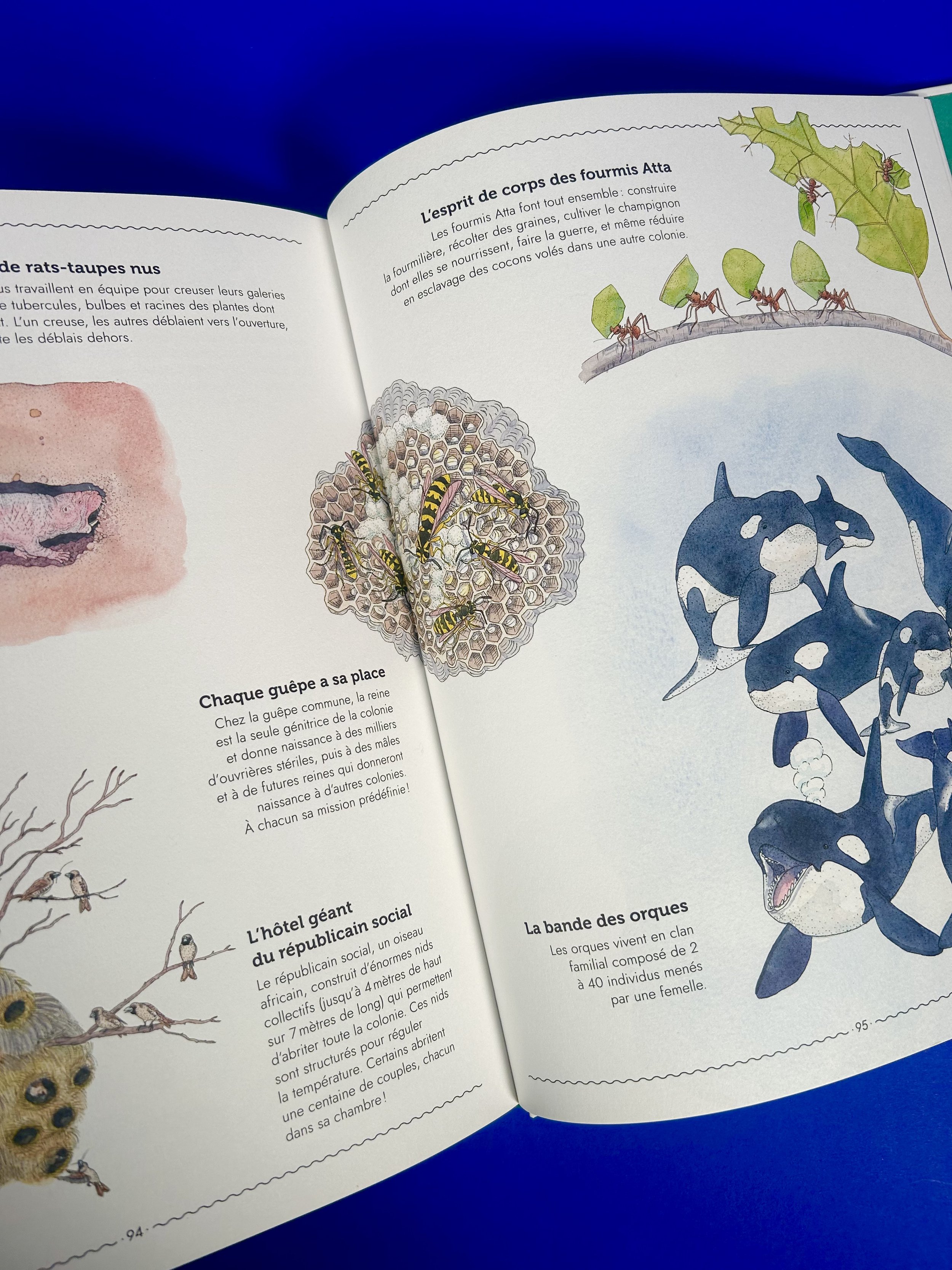 Replay kids_livre_vivre_5.jpeg