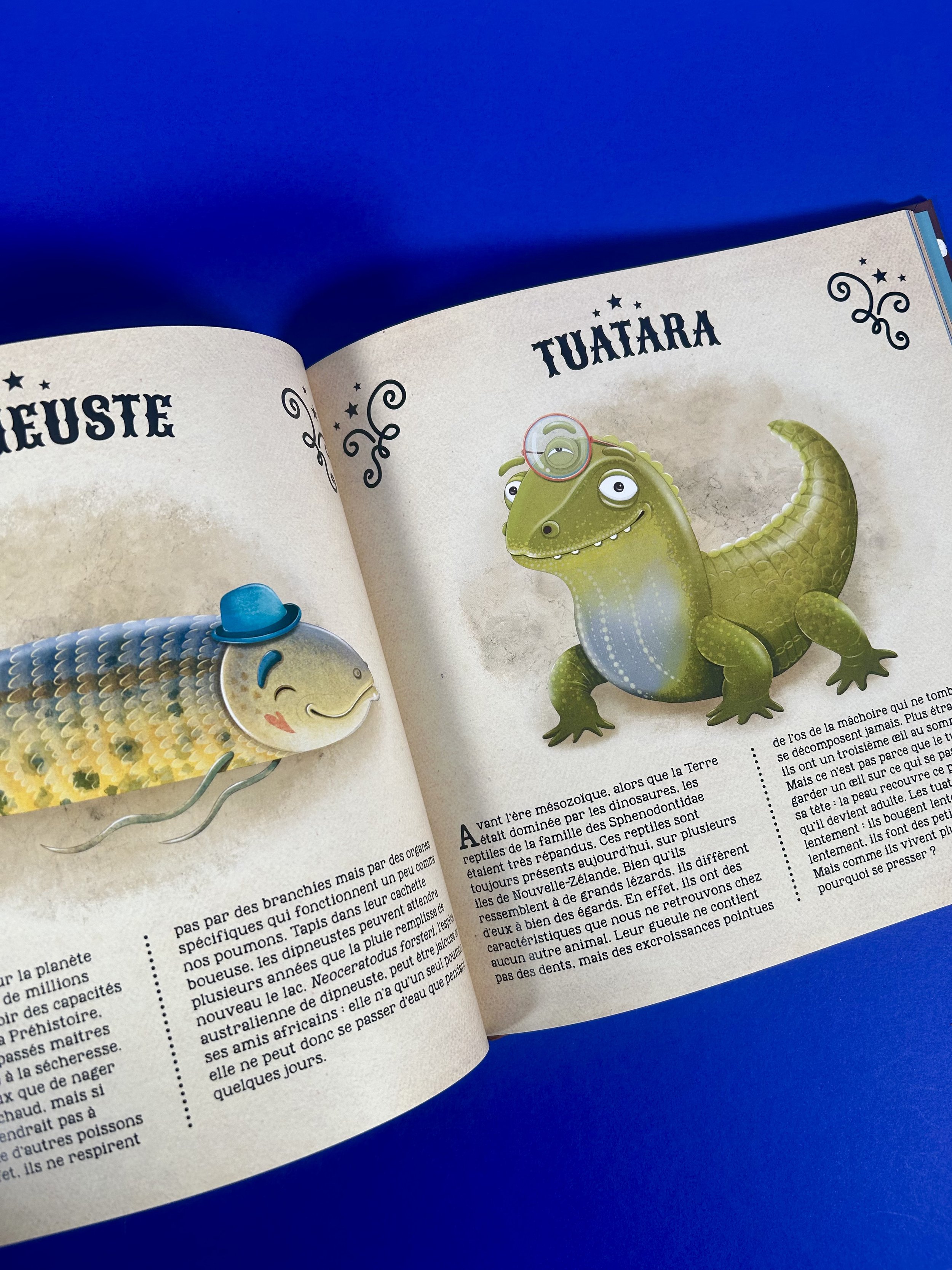 Replay kids_livre_incoyable animaux du monde_7.jpeg