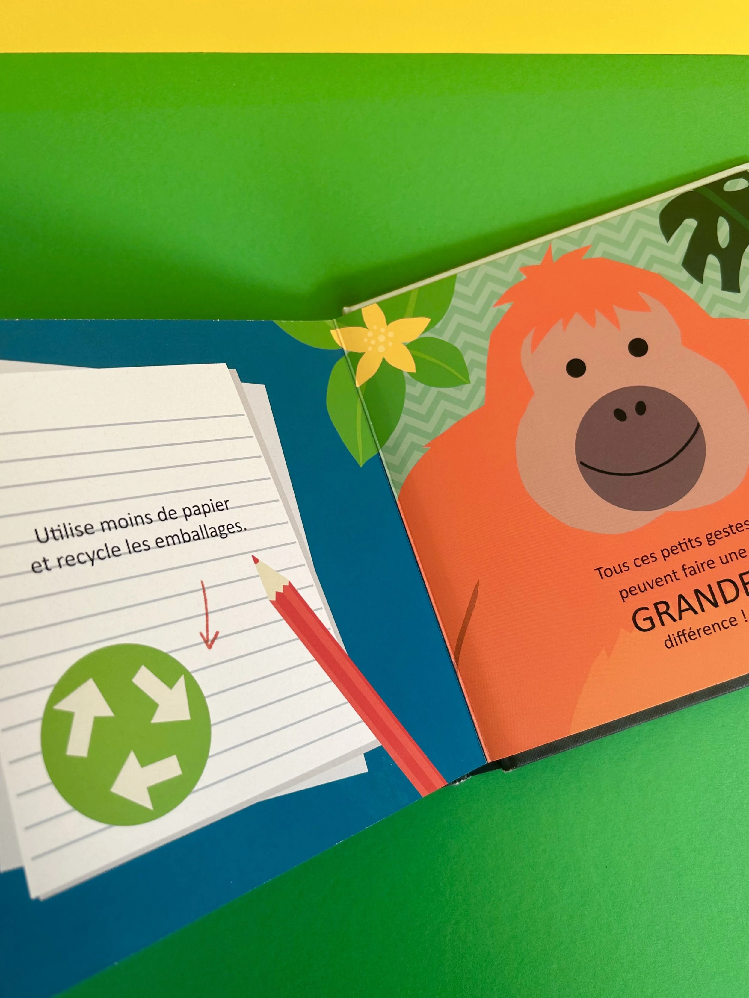 Replay kids_livre_la foret tropical_p'tit écolo_5.jpeg