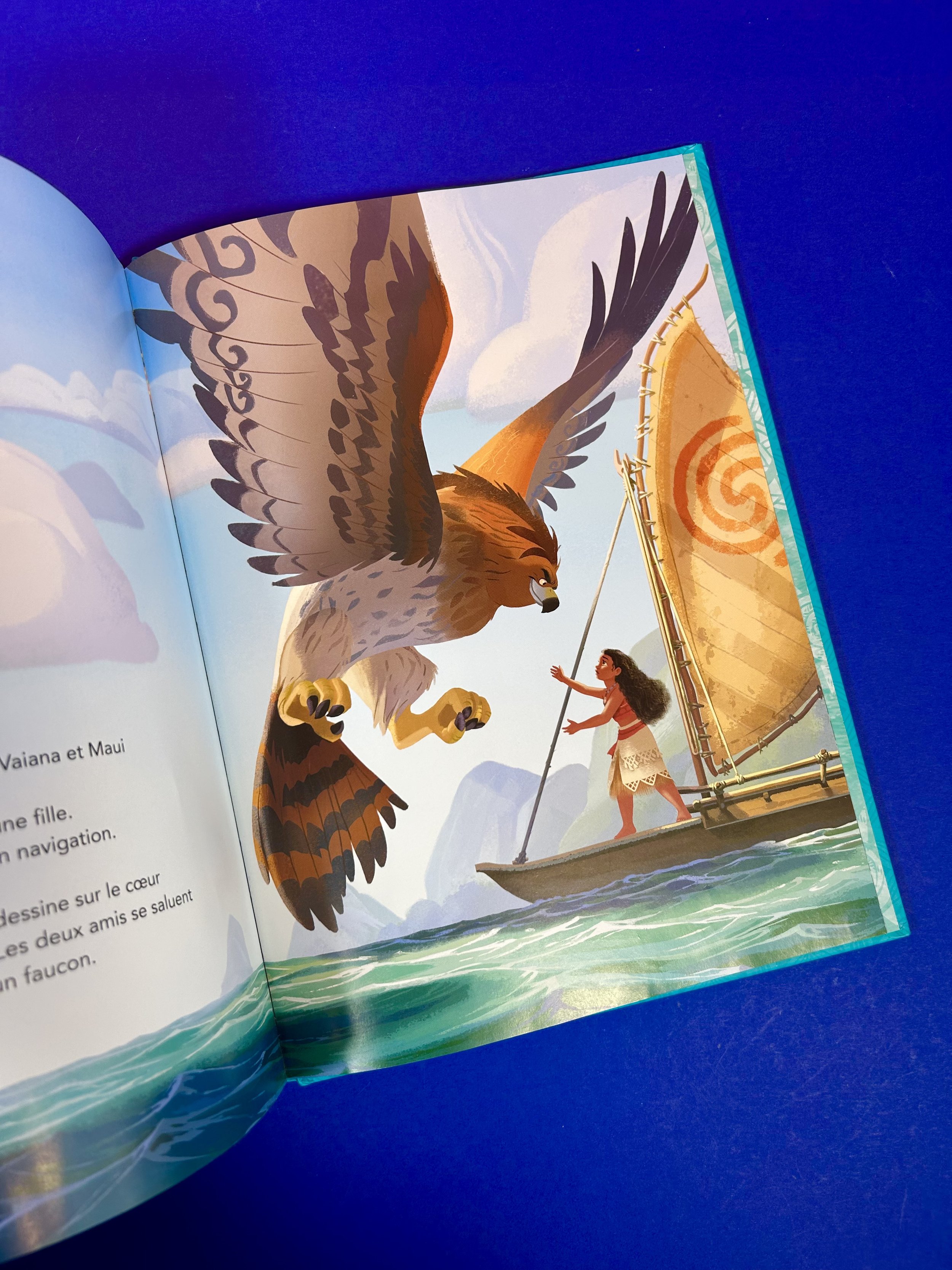 Replay kids_livre_Vaiana-Disney_5.jpeg