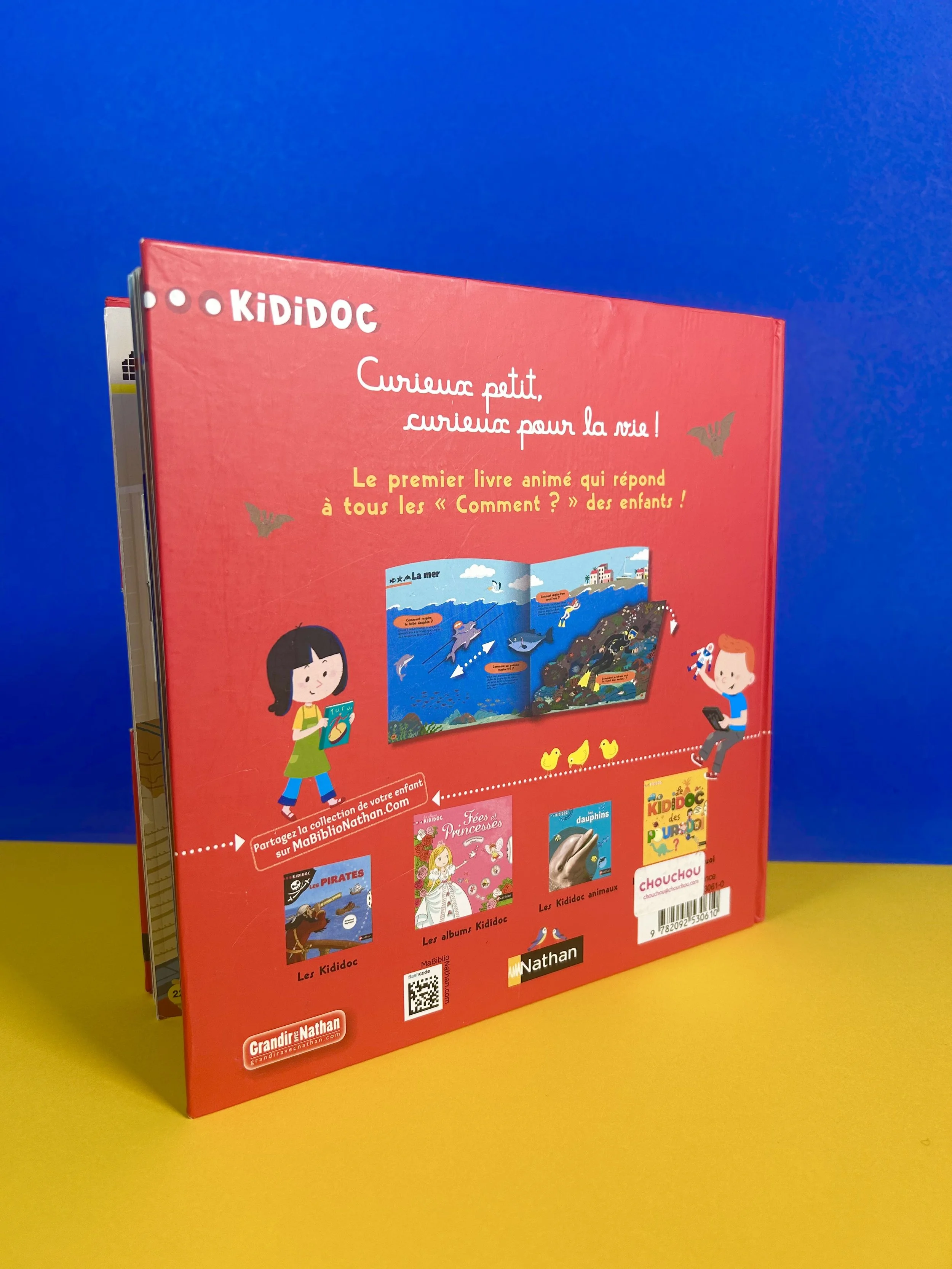 Replay kids_Le Kididoc des comment?_livre_2.jpeg
