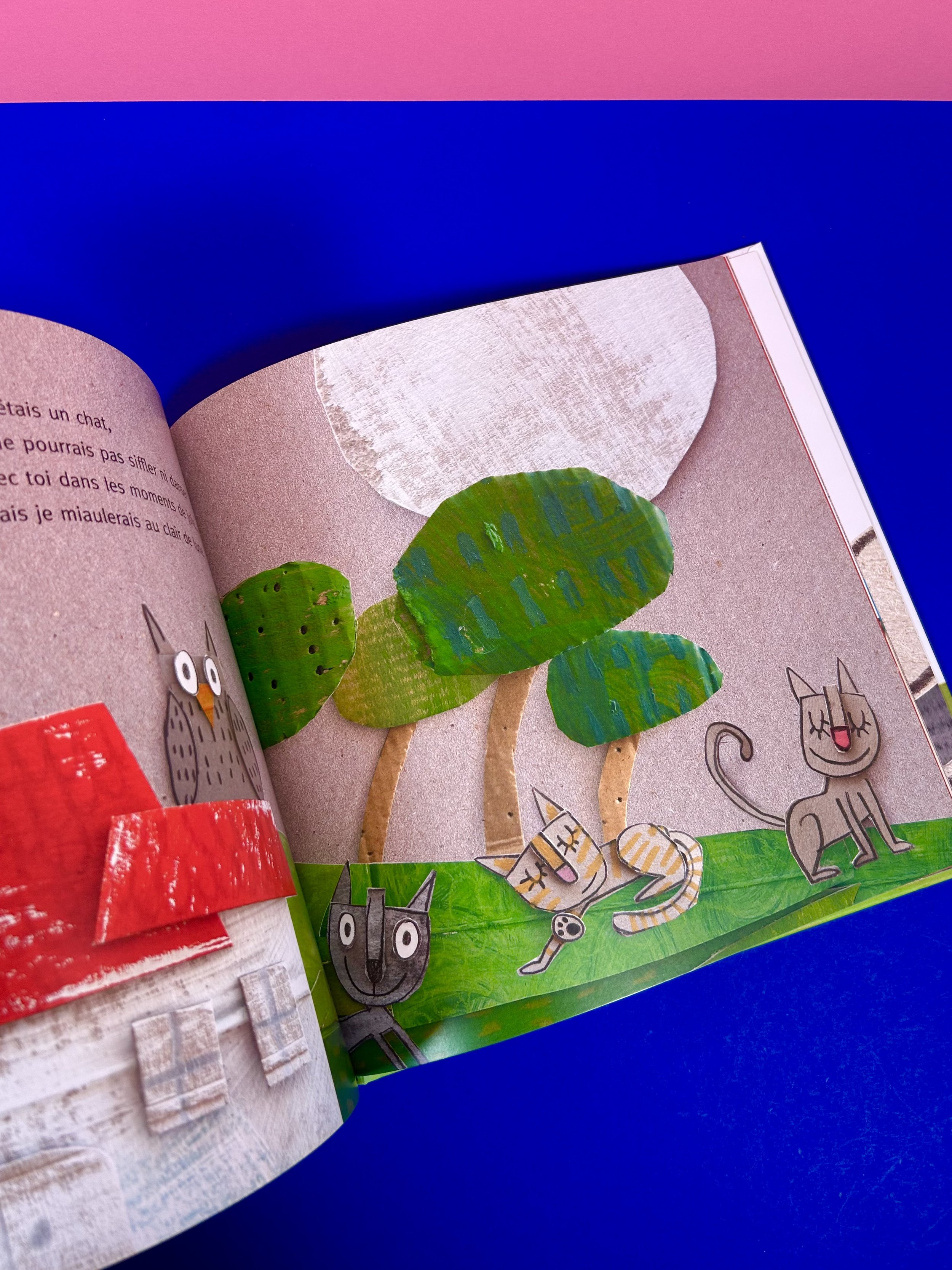 Replay kids_livre_Si j'étais un chat_4.jpeg