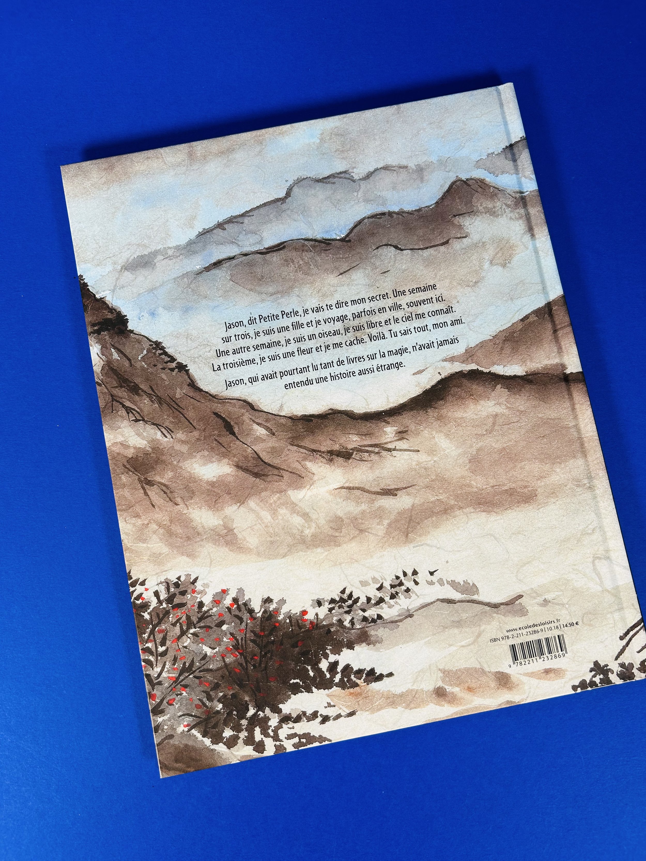 Replay kids_les trois vies de petite perle_2.jpeg