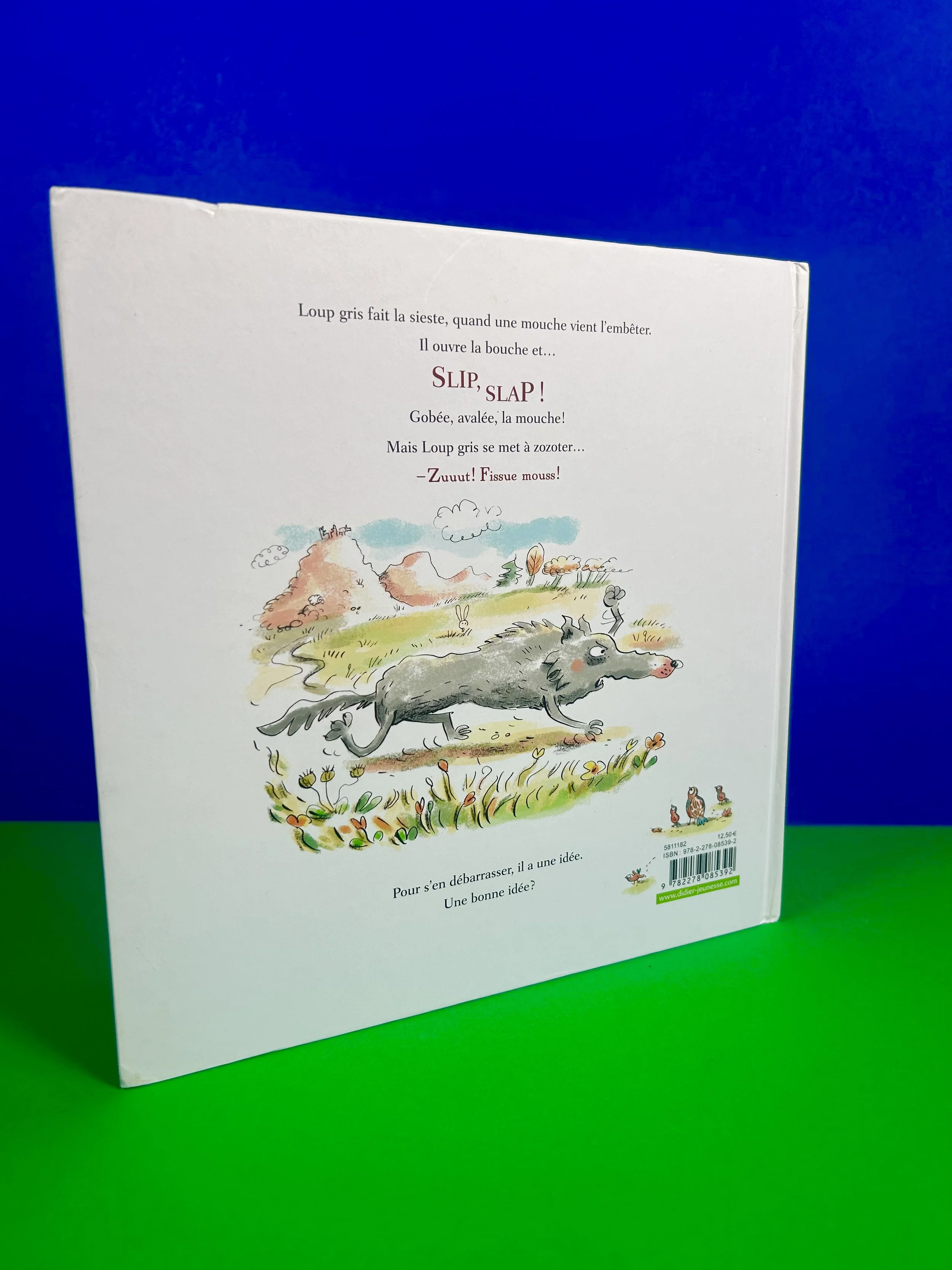 Replay kids_Loup gris et la mouche_Didier jeunesse_2.jpeg