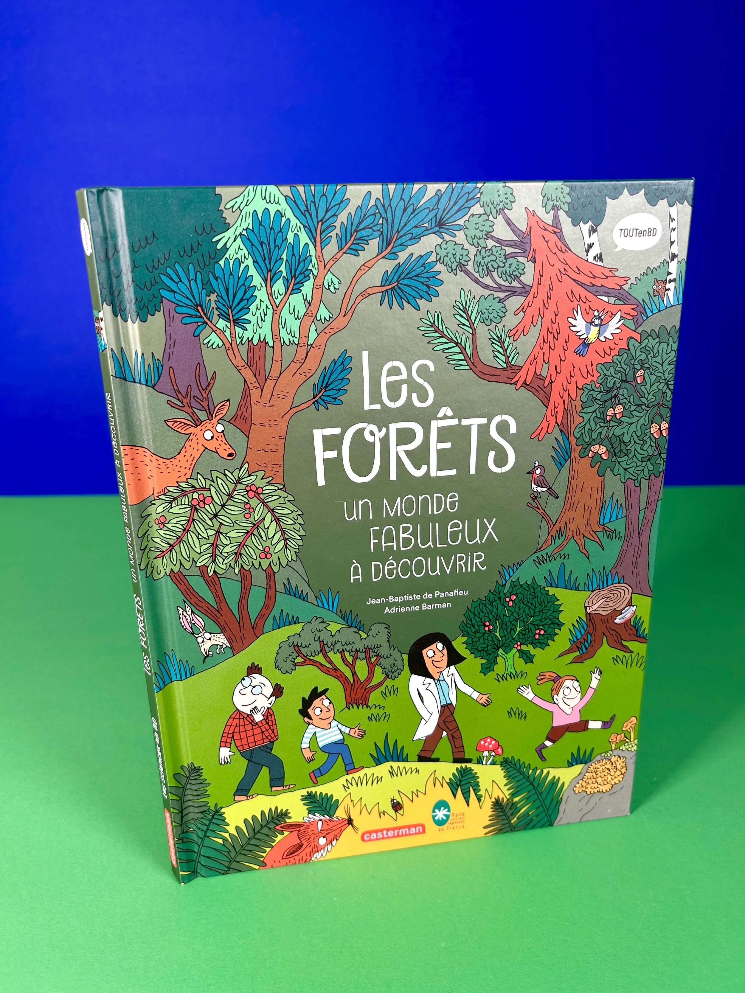 Les forêts - un monde fabuleux à découvrir
