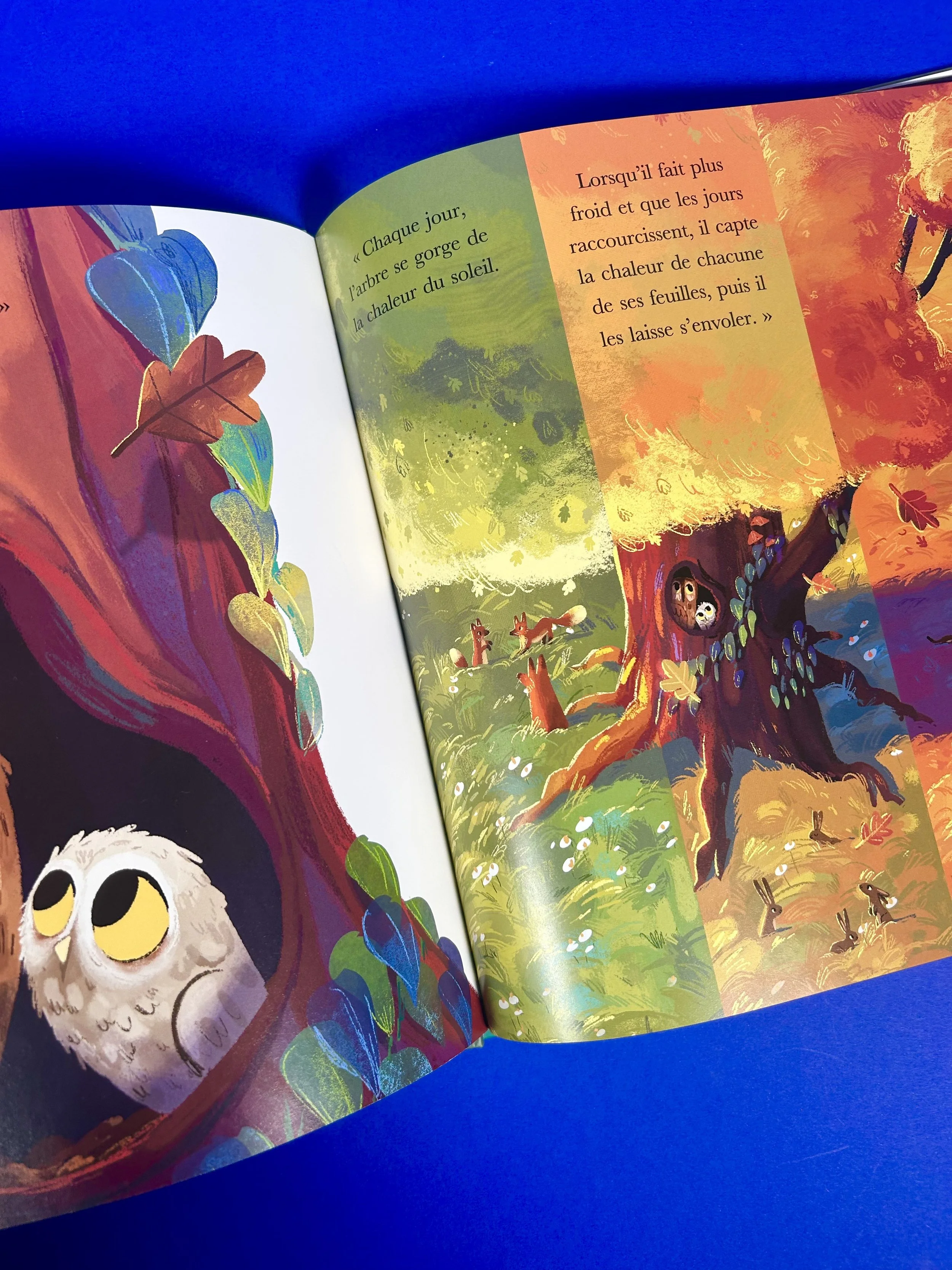 Replay kids_livre_l'arbre aux merveilles_5.jpeg