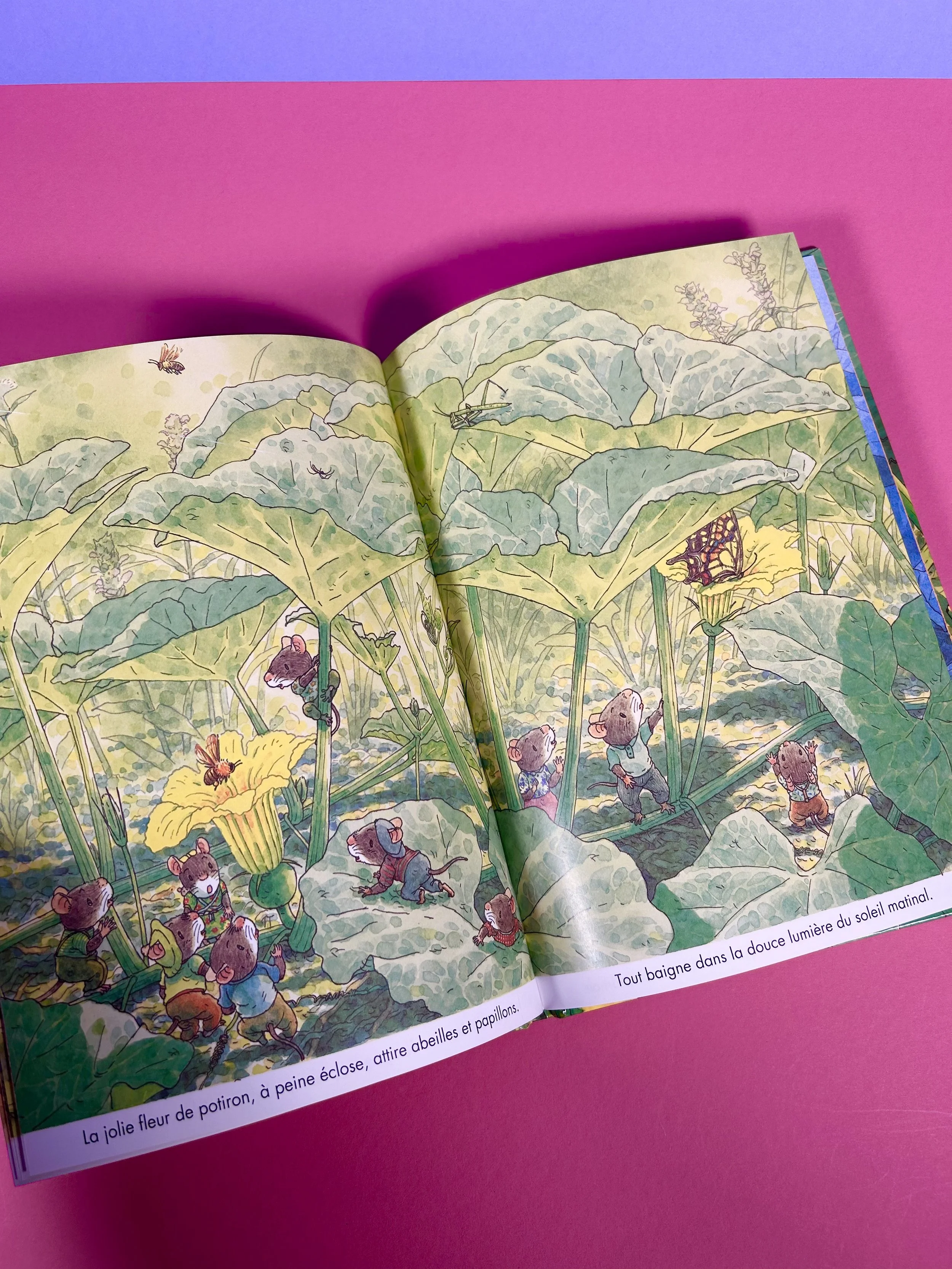 Replay kids_livre_la famille souris et le potiron_2.jpeg