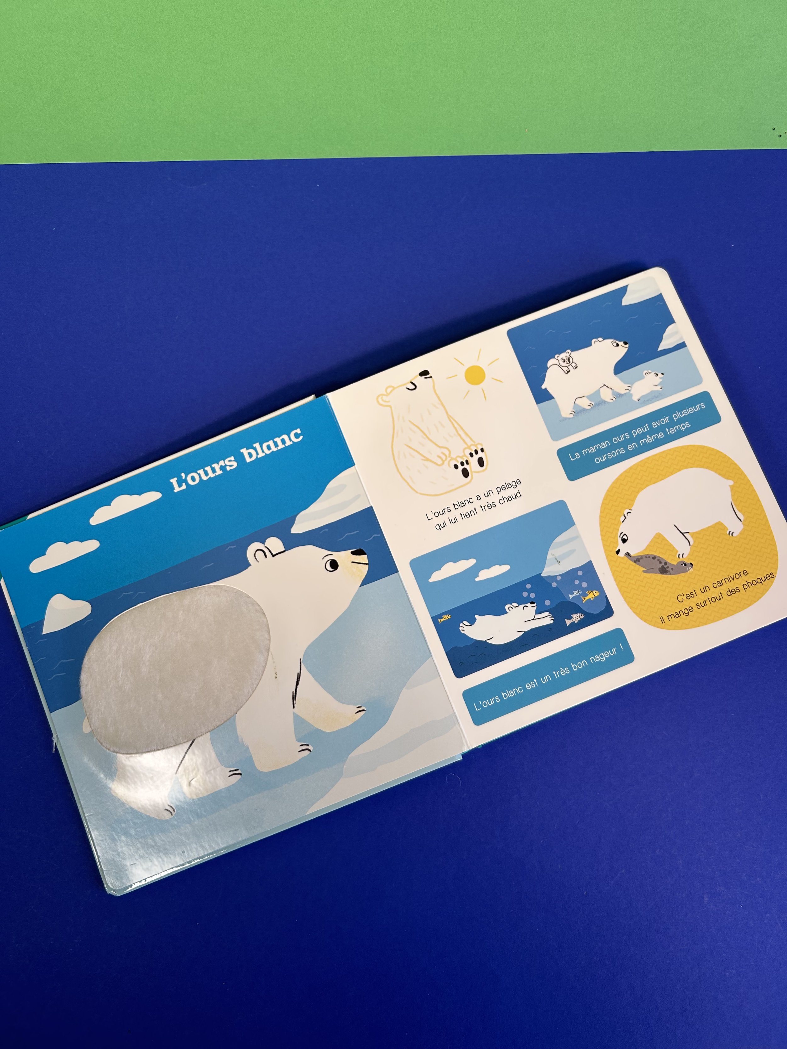Replay kids_livre_les animaux du froid_2.jpeg
