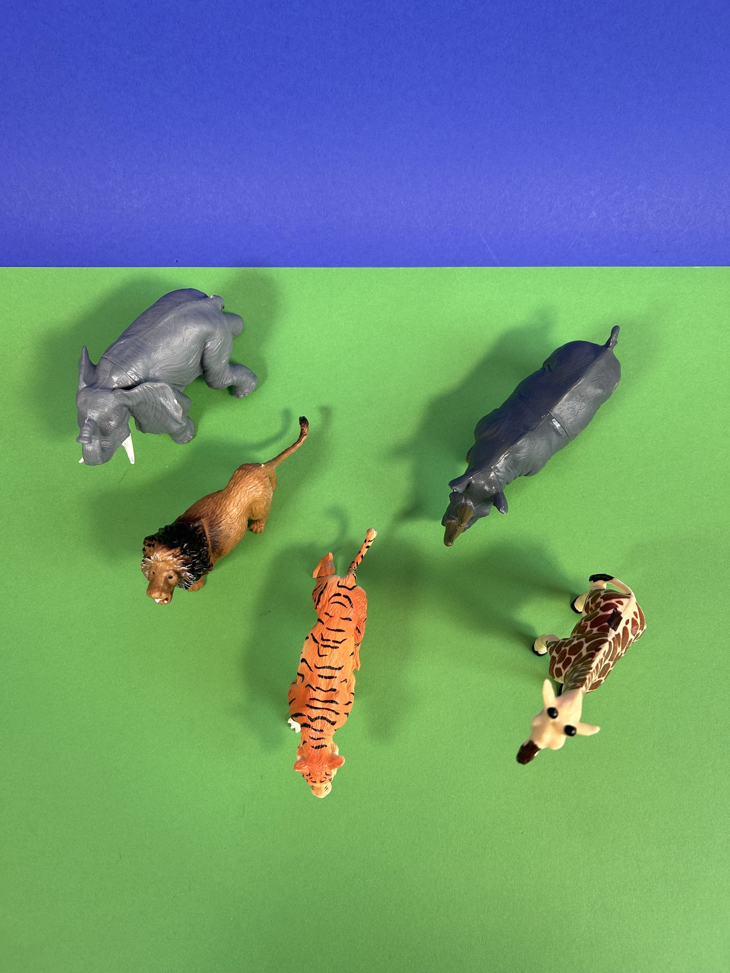 Replay_lots d'animaux savanes_4.jpeg