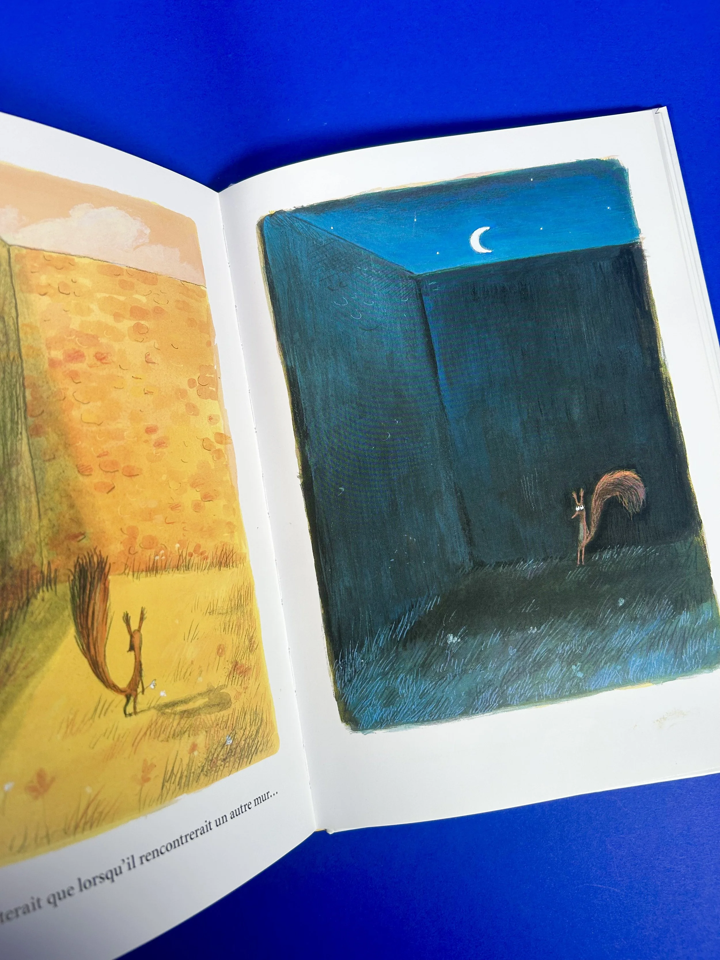 Replay kids_livre_c'est mon arbre_4.jpeg